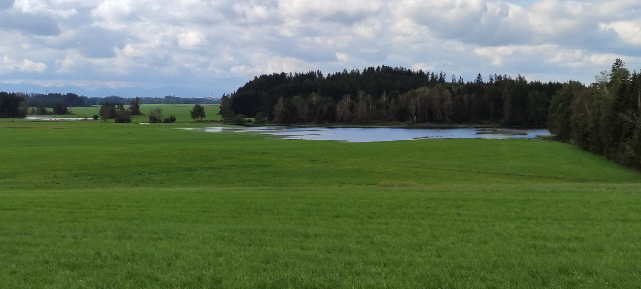 War hier eigentlich nicht eine Wiese? 🤔