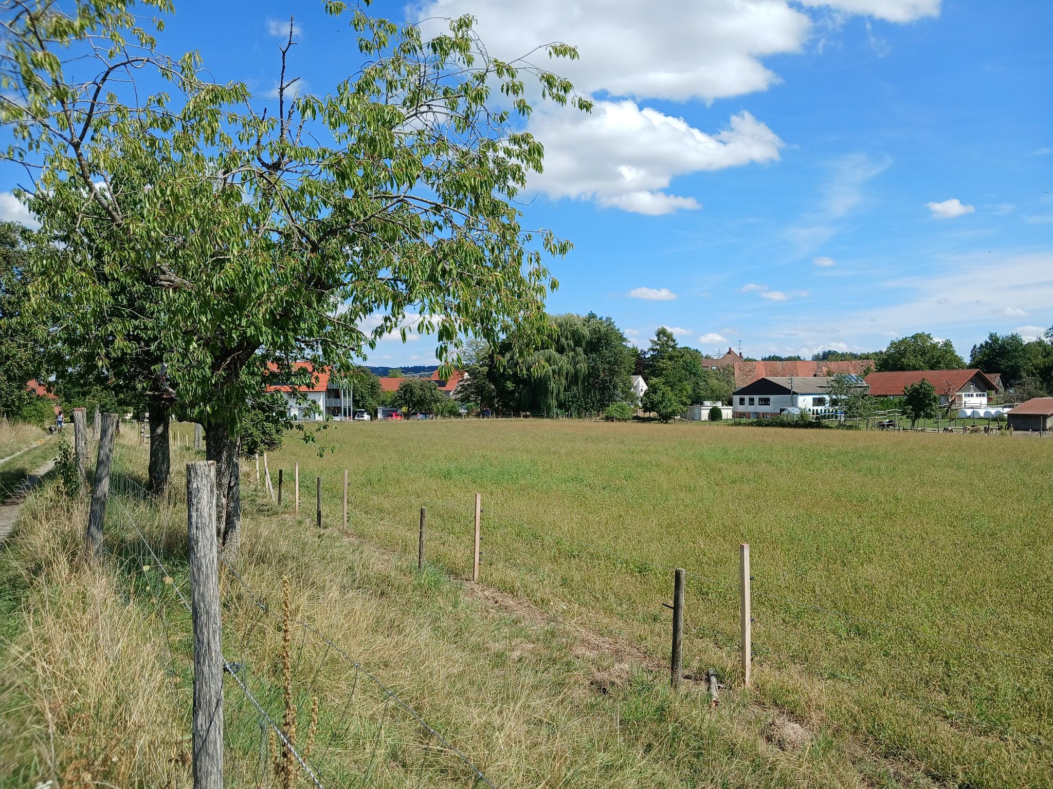 Kirschbaumstadion Grünkraut