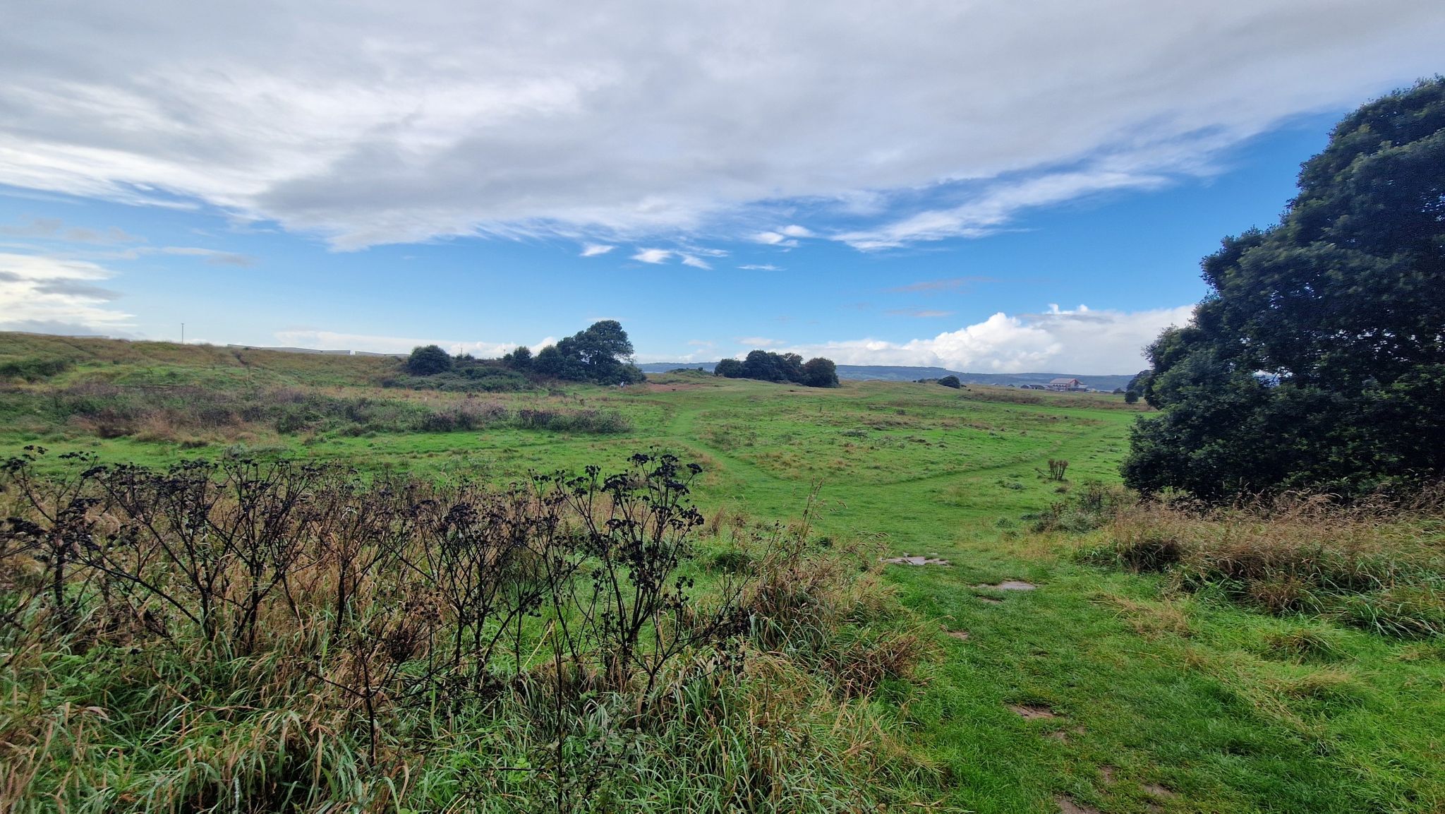 The Maer Local Nature Reserve is Exmouth's worst-kept secret