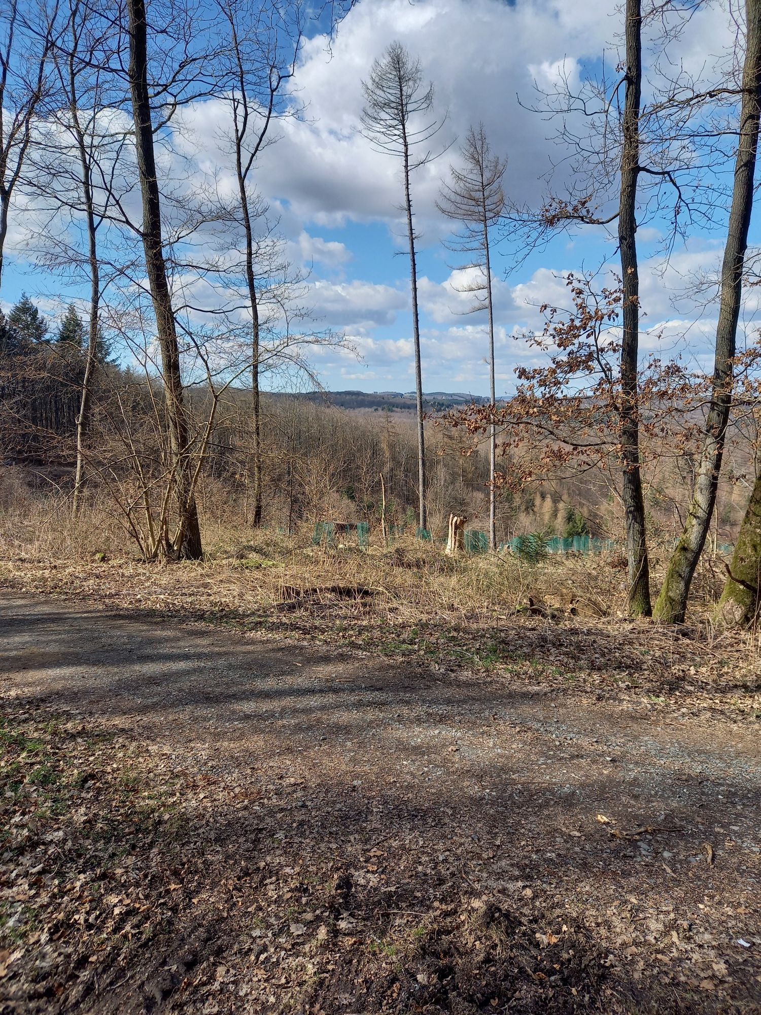 Blick nach Hohensolms