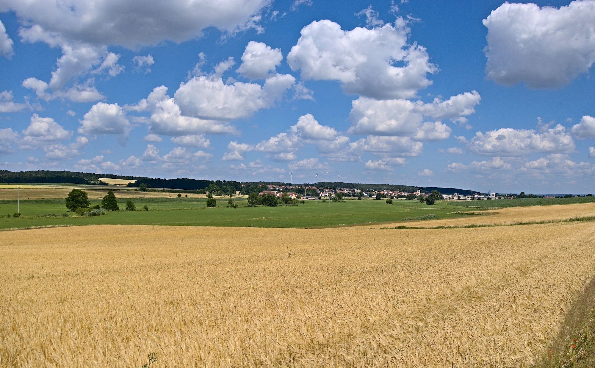 Ausblick bei Lach