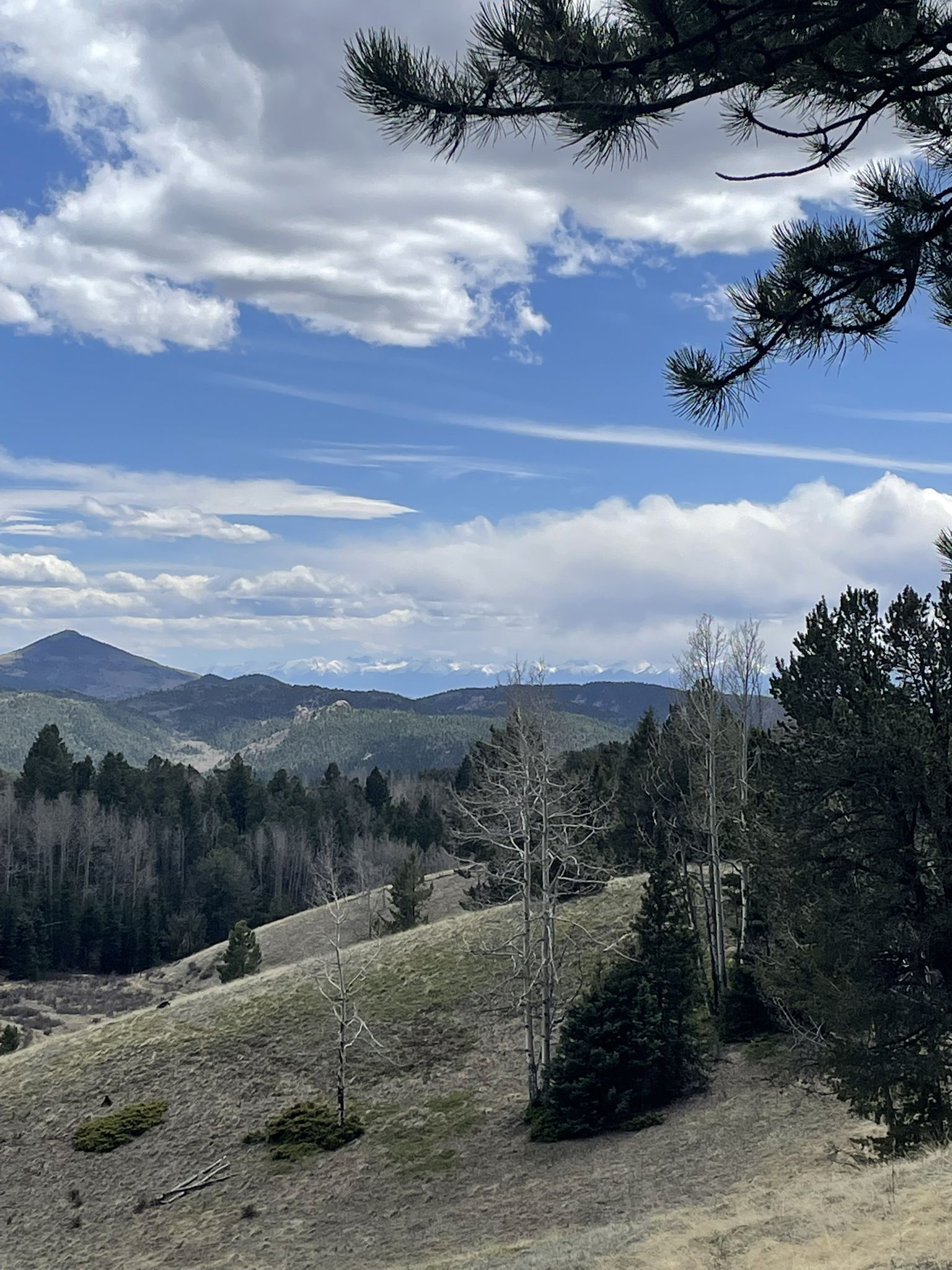 Mountainous landscape with forested hills under a bright, cloudy sky. - Outlook Ridge Trail