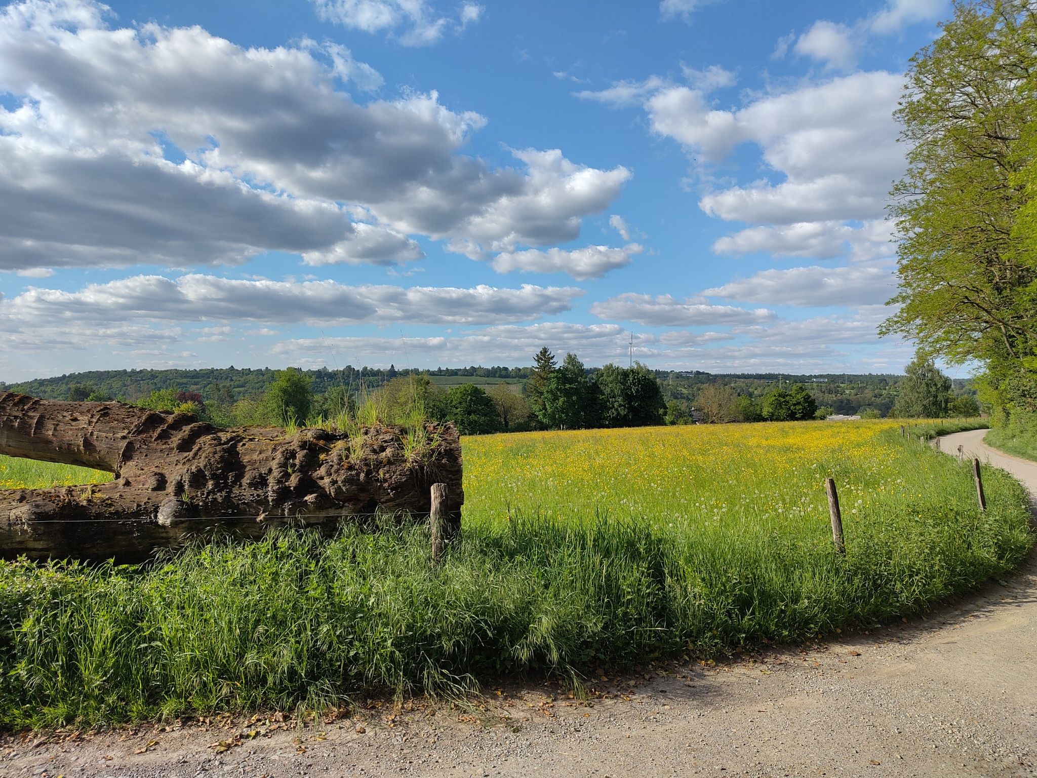 Landschaft