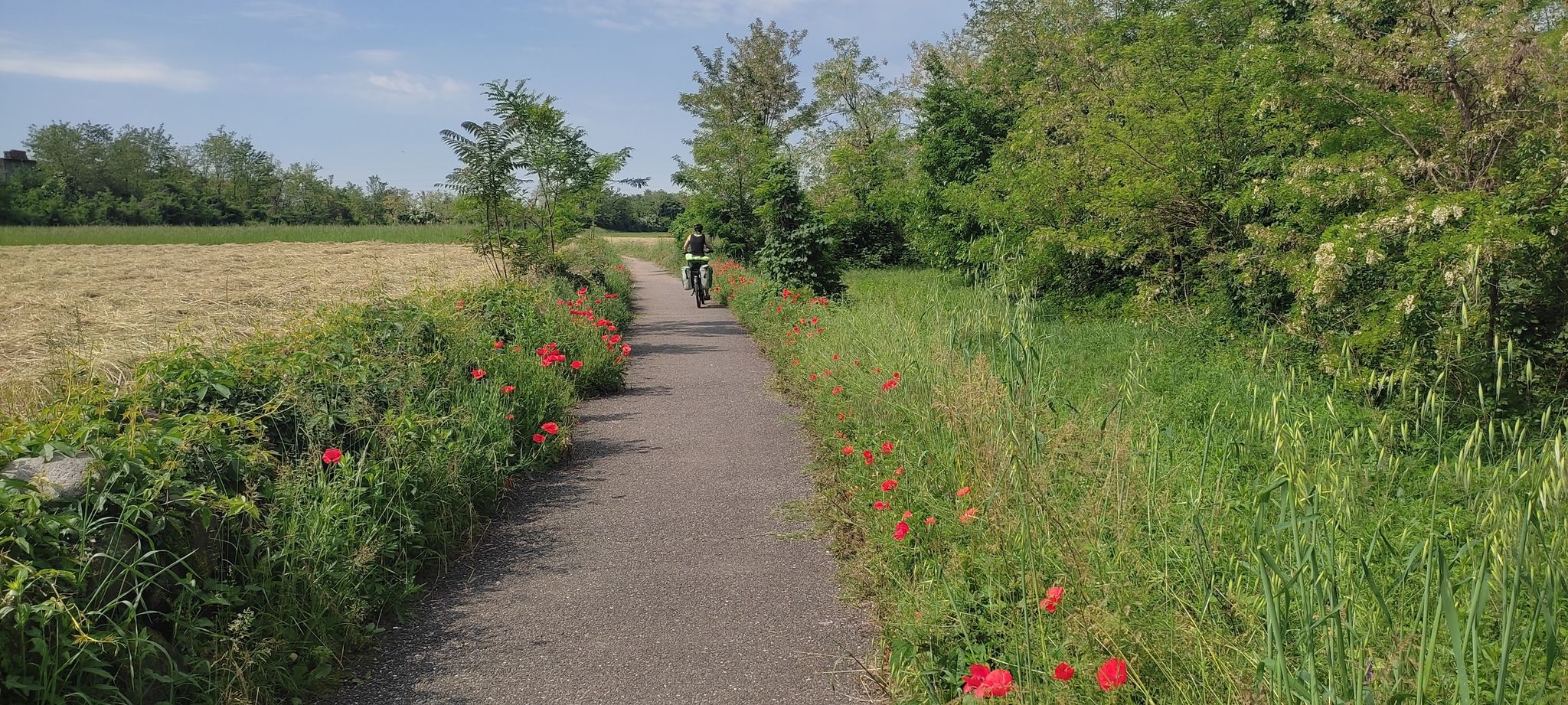 bunter Radweg