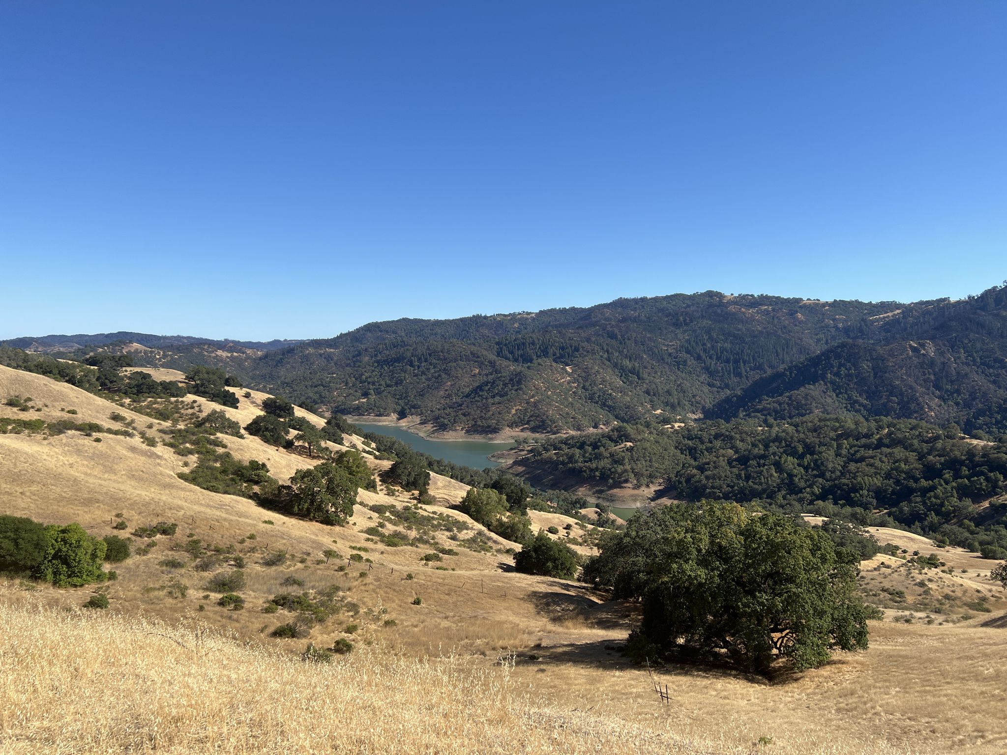 Sunny landscape with dry golden hills, green trees, a lake, and forested mountains. - Rancheria and Half-a-Canoe Loop