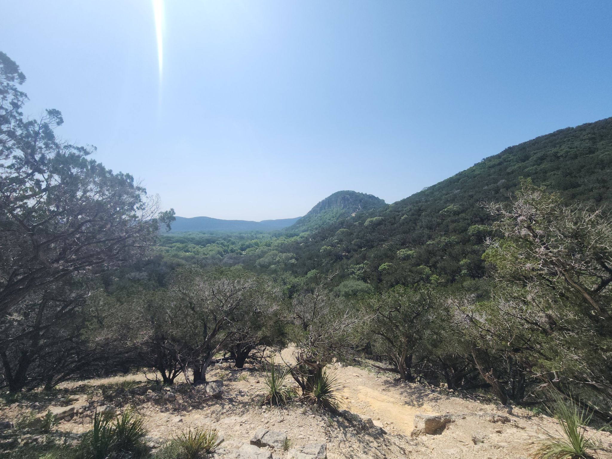 Sunny view of a forested valley with hills under a bright blue sky. - Ol' Baldy Mountain loop from Camp Store
