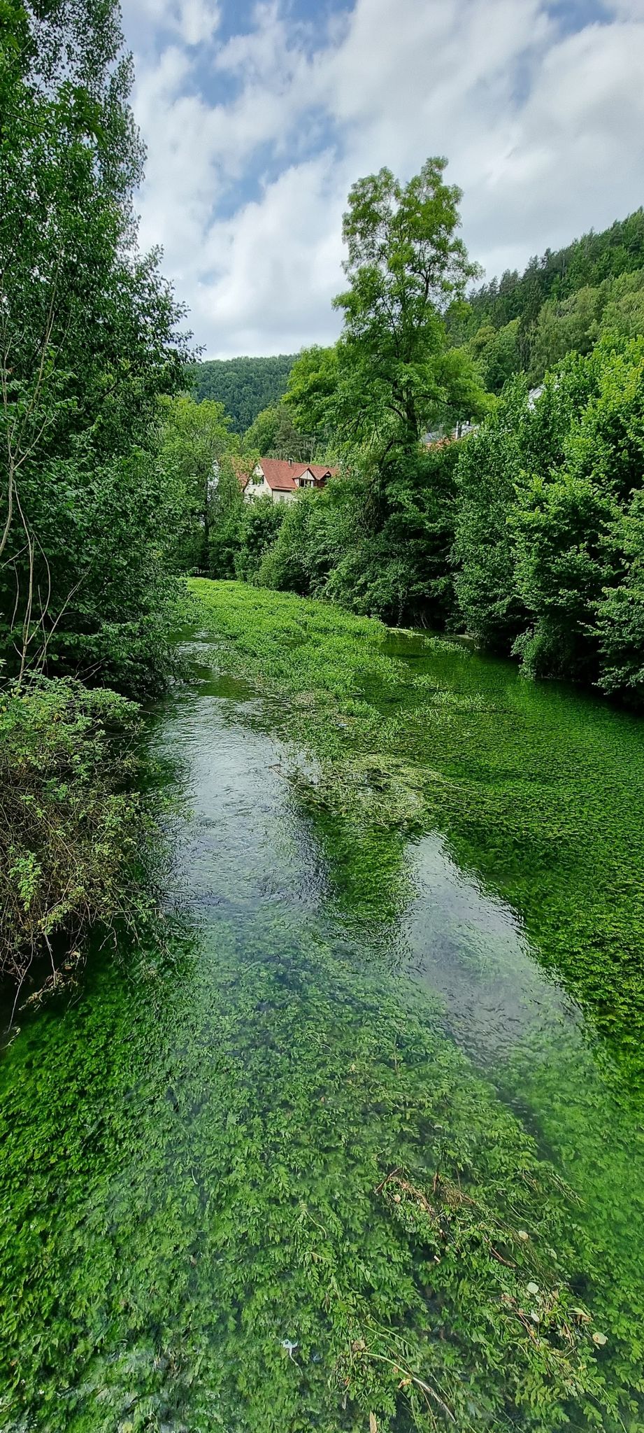 Grüne Blau