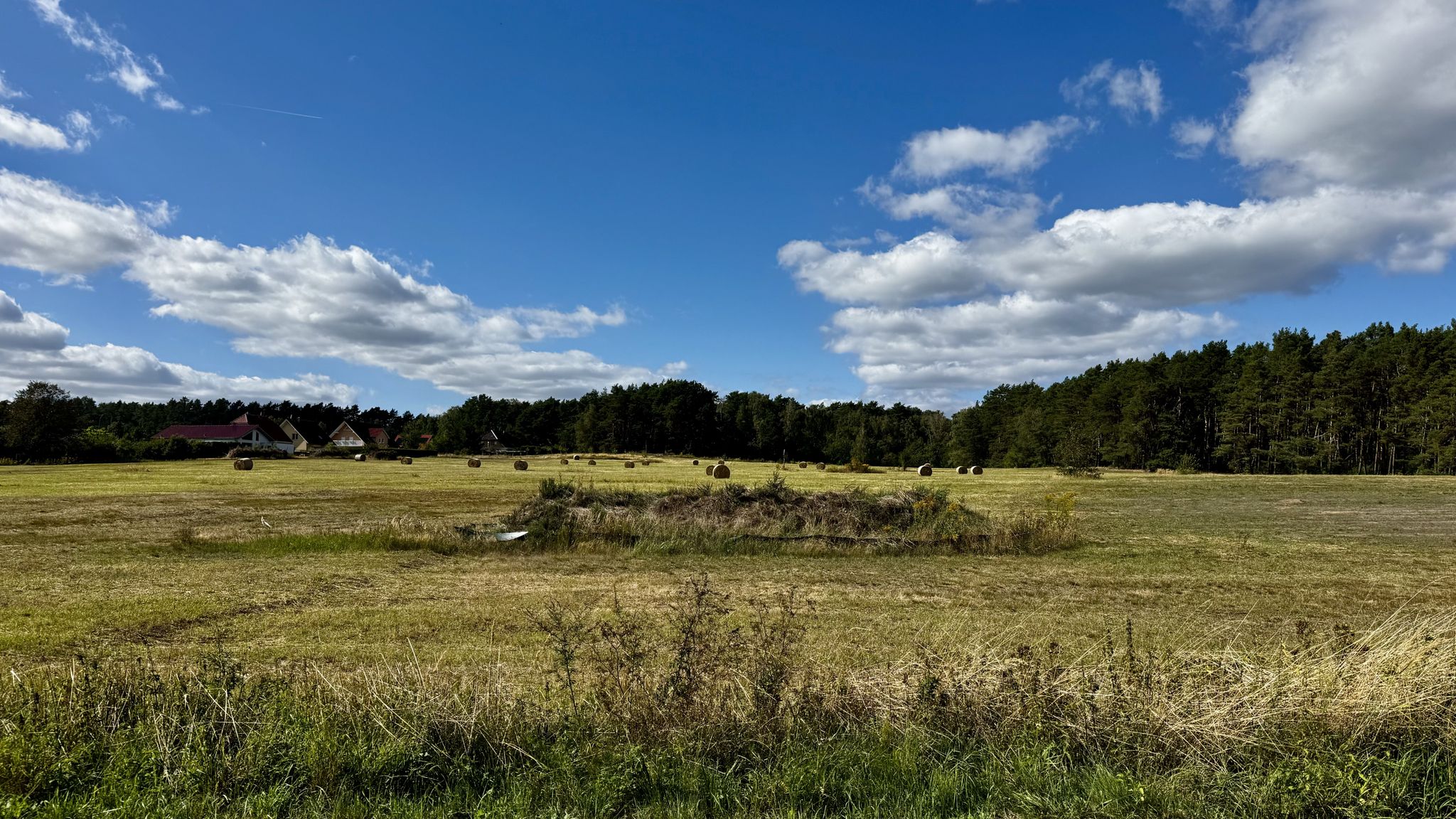 Fläche für HeilOrt