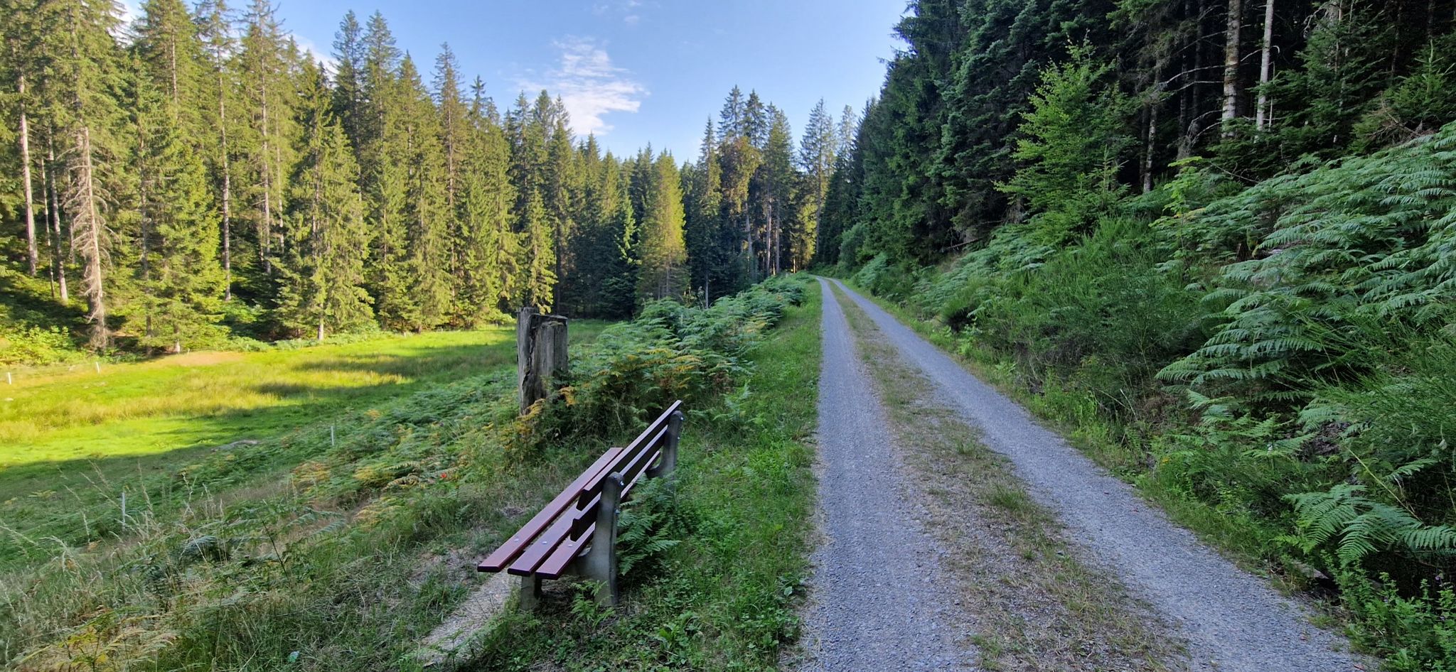 an der Sitzbank biegen wir links in den Wanderweg
