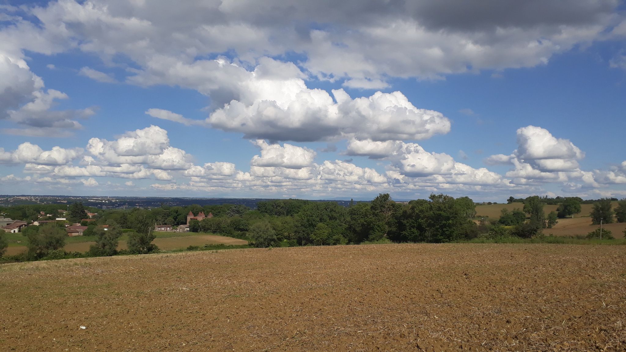vue
