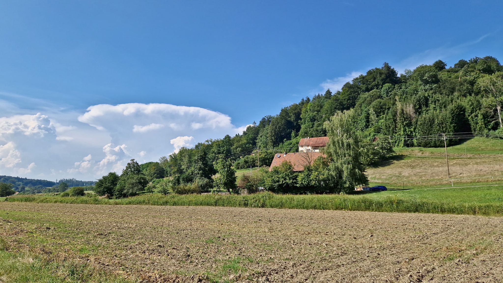 In weniger als einer halben Stunde ist aus dem "Blumenkohlhaufen" eine mächtige Gewitterwolke geworden.
