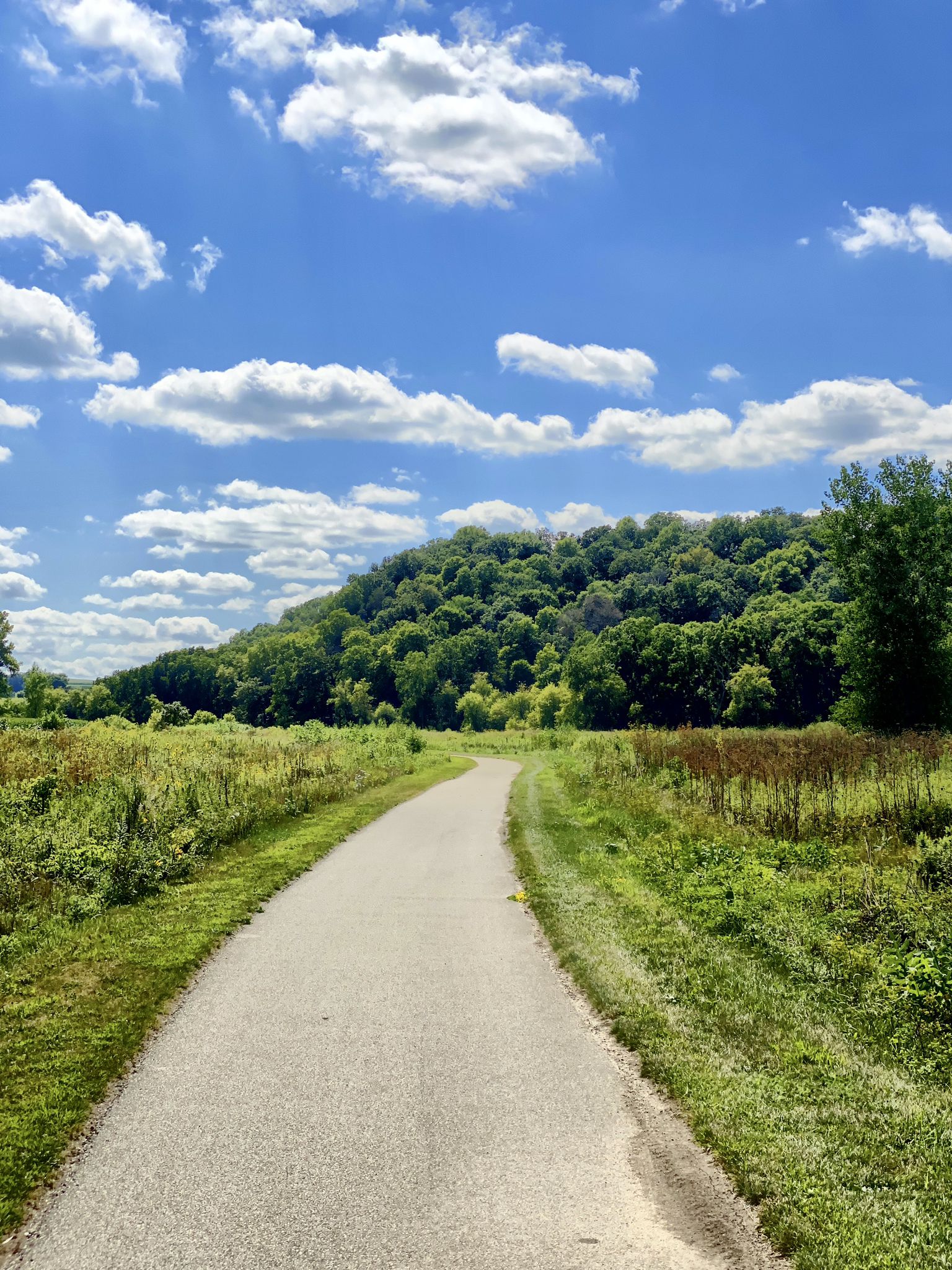 Paved path curves through green fields towards a forested hill, cloudy sky. - Trout Run Loop – Pulpit Rock loop from Decorah