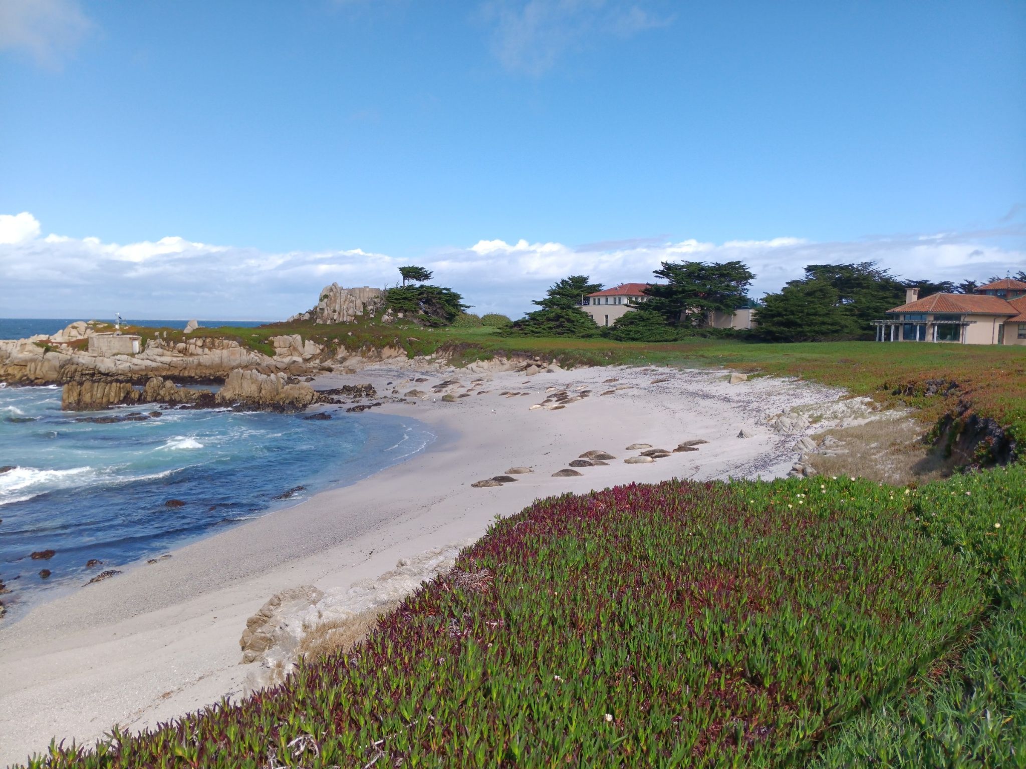 Sunny coastal scene with a sandy beach, blue ocean, rocky shore, and distant houses. - Monterey Bay Coastal Recreation Trail