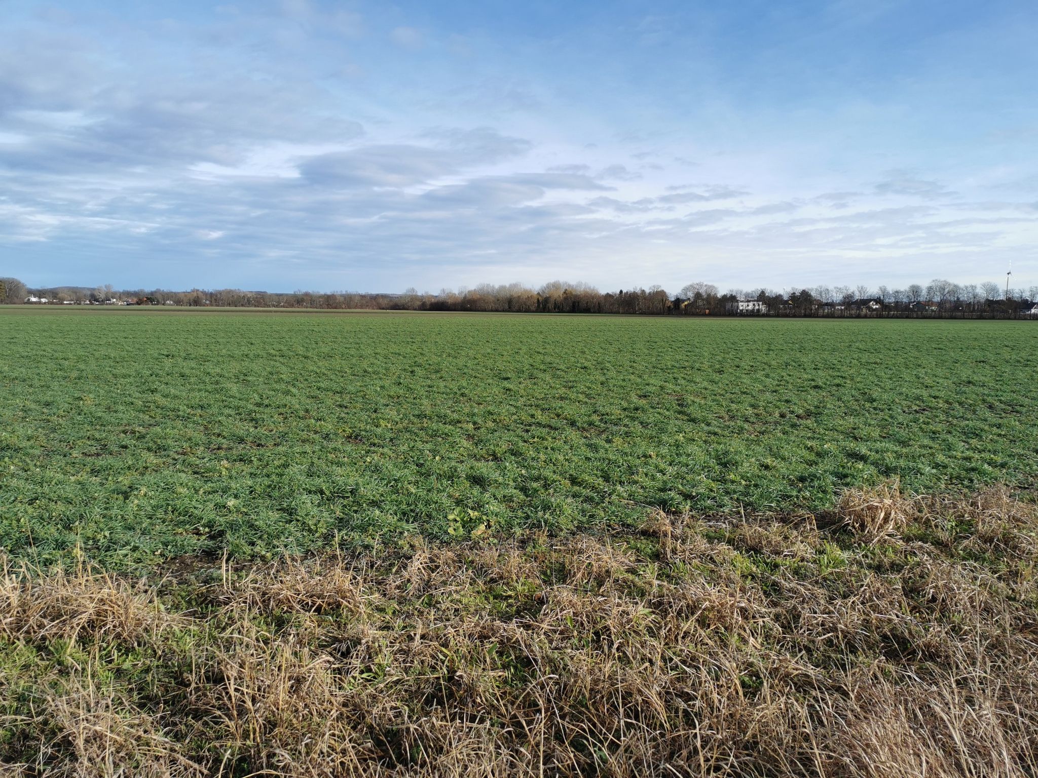 Blick nach Margarethen am Moos