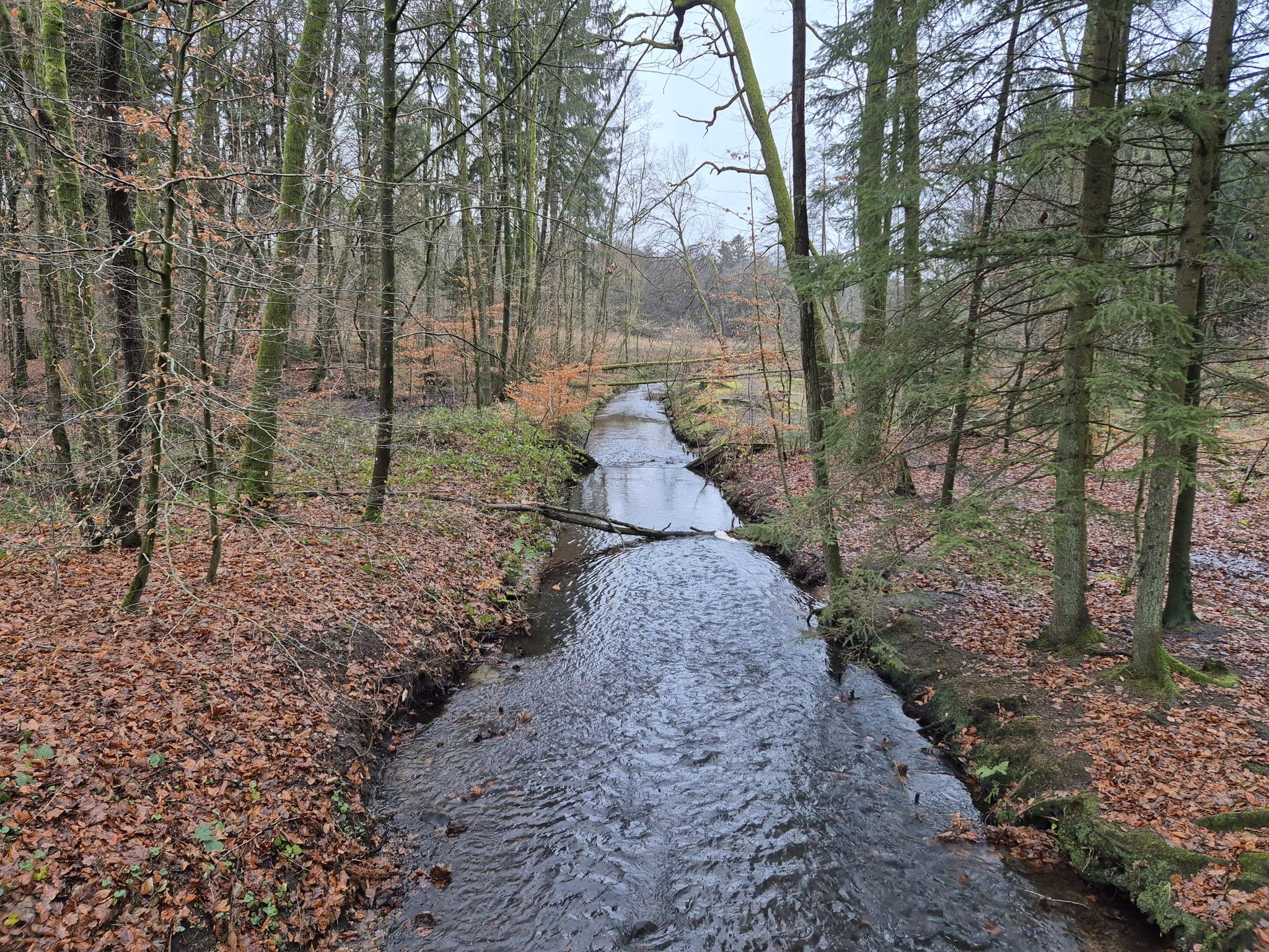 Irgendwo über dem Steinbach!