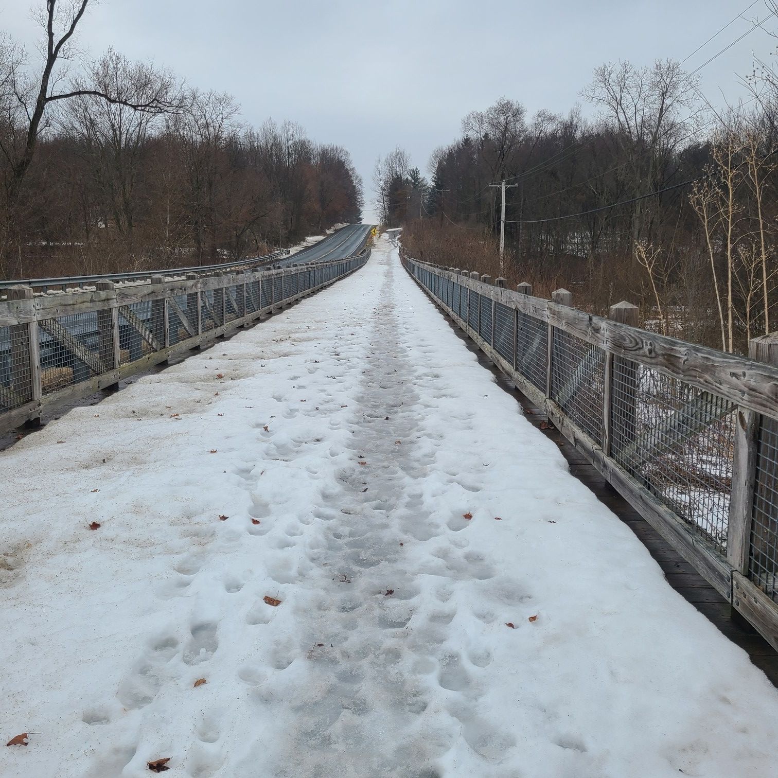 Snow-covered wooden bridge with railings, leading uphill under a gray sky. - Glenn Allen Island Preserve – Kalamazoo Nature Center loop from Westnedge at Whites (NW Corner)