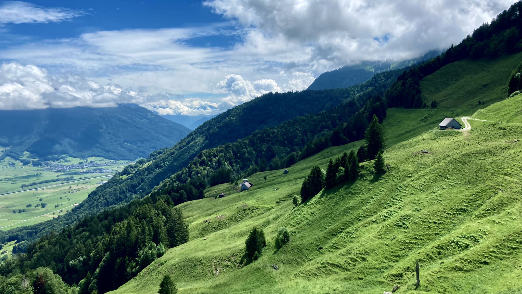 Hirzli in der Ferne