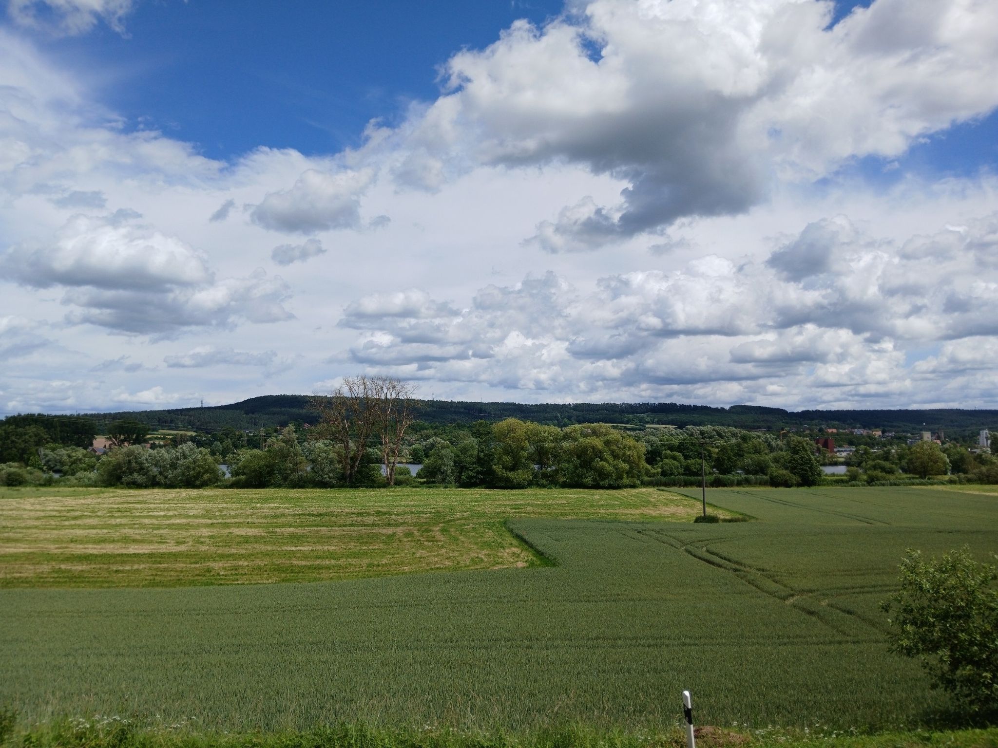 Blick in das Maintal