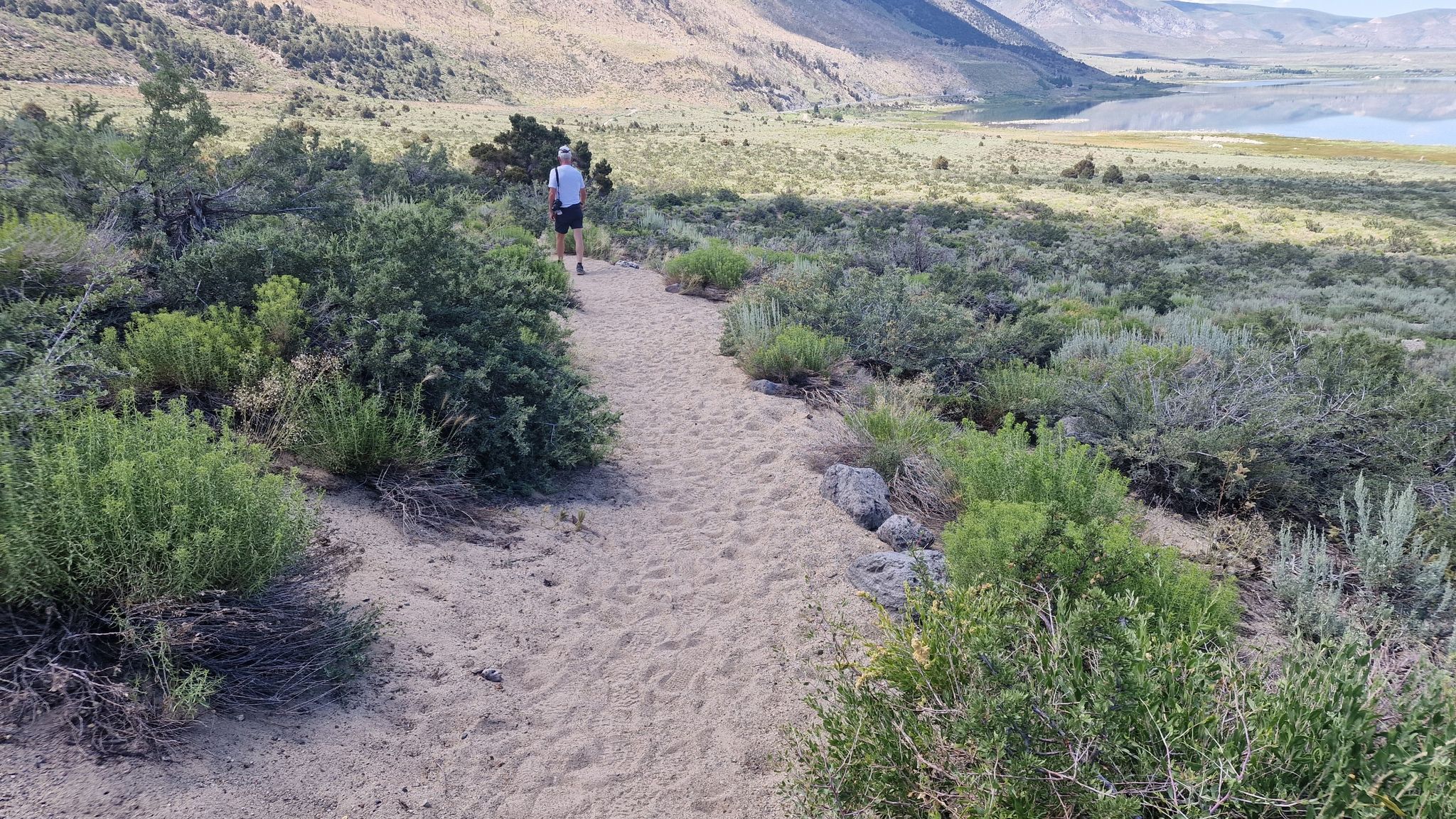 A person walks on a sandy path through arid brush towards a distant lake. - Mono Lake loop from Lee Vining, California