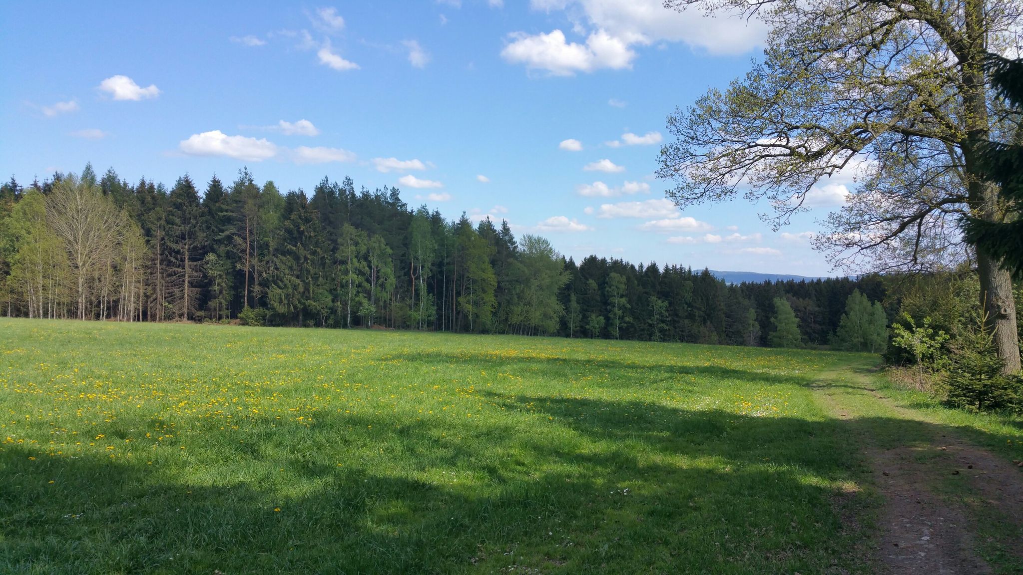 Nature 