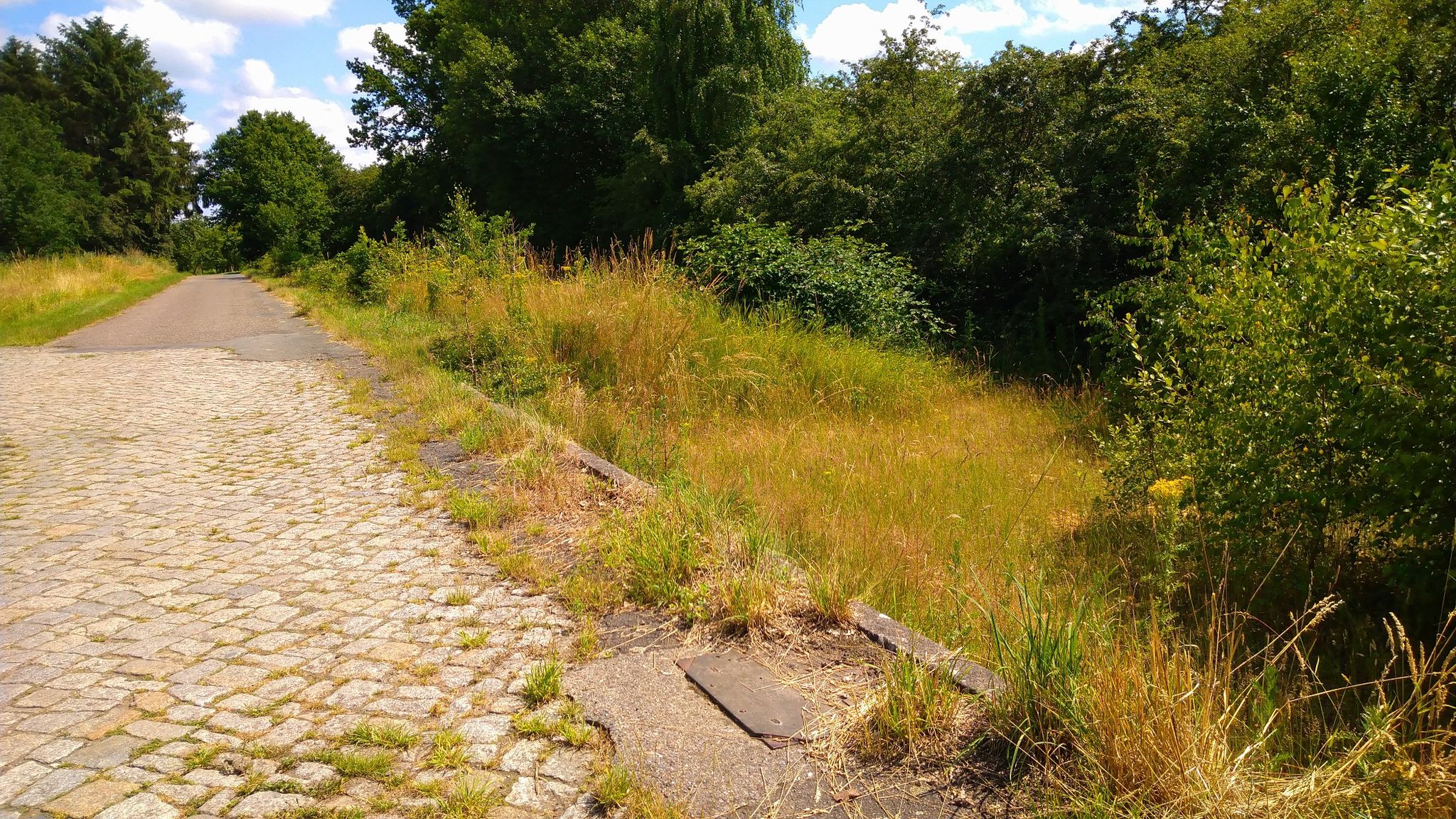 37-Alter Bahnsteig Beckdorf