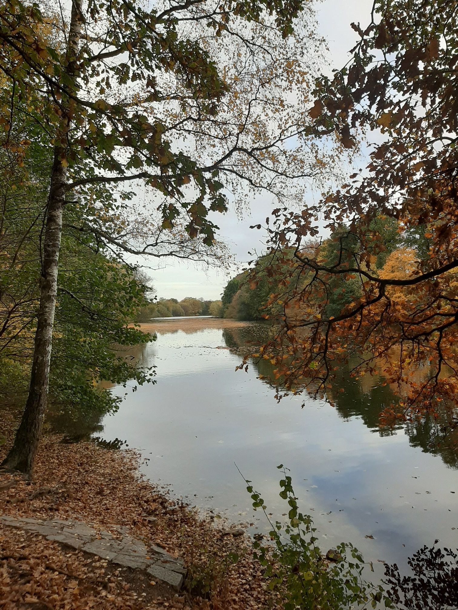 Bramfelder See 
