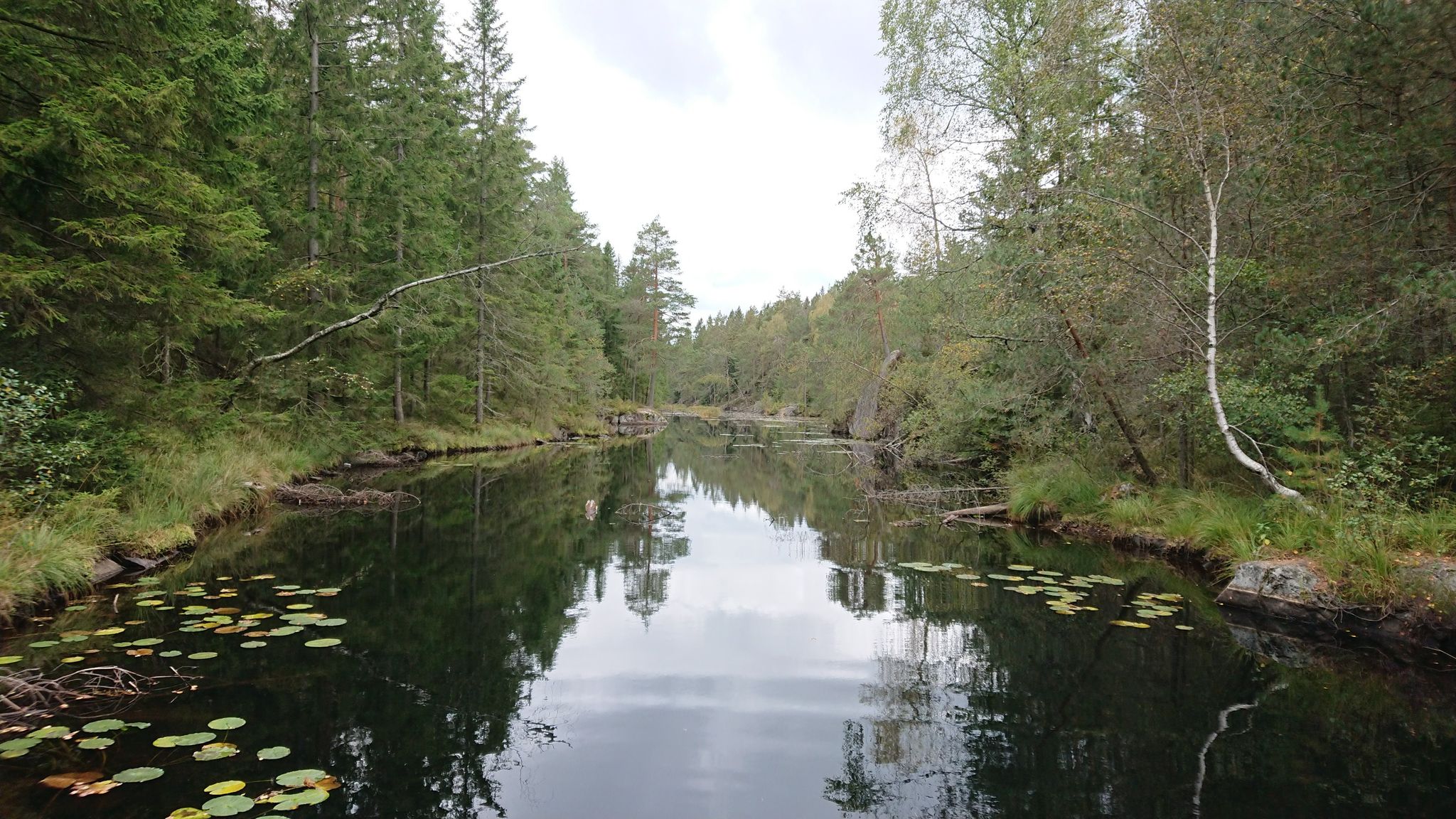 Flusstal