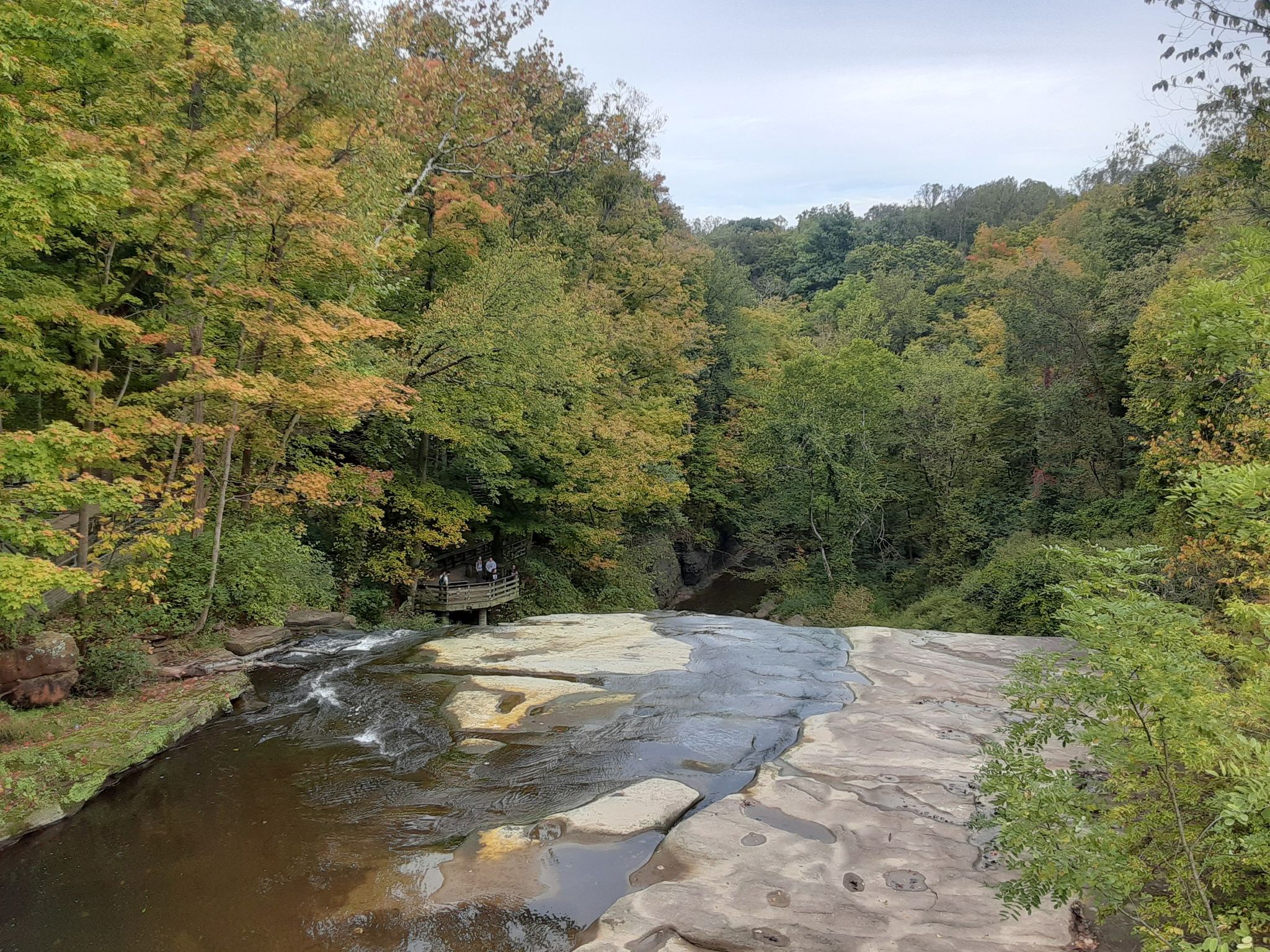River flows over flat rocks, surrounded by dense autumn forest under a cloudy sky. - Stanford Trail and Brandywine Gorge Loop