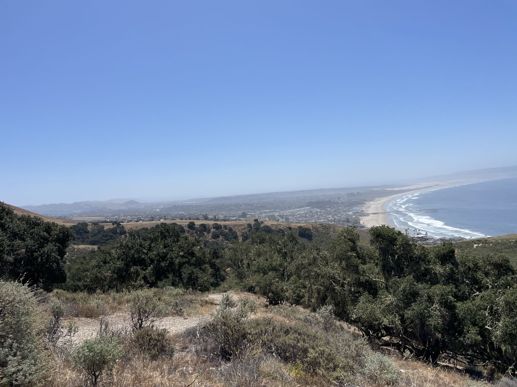 Overlook of a coastal town and beach from a forested hillside on a clear day. - Bridge over Pismo Creek – Lone Oak loop from Grover Beach