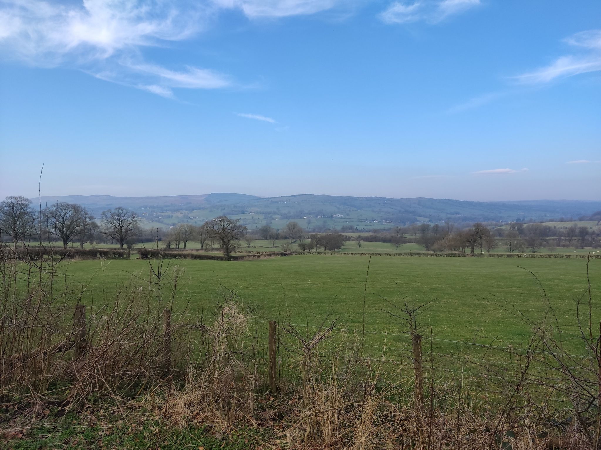 Luscious Bowland