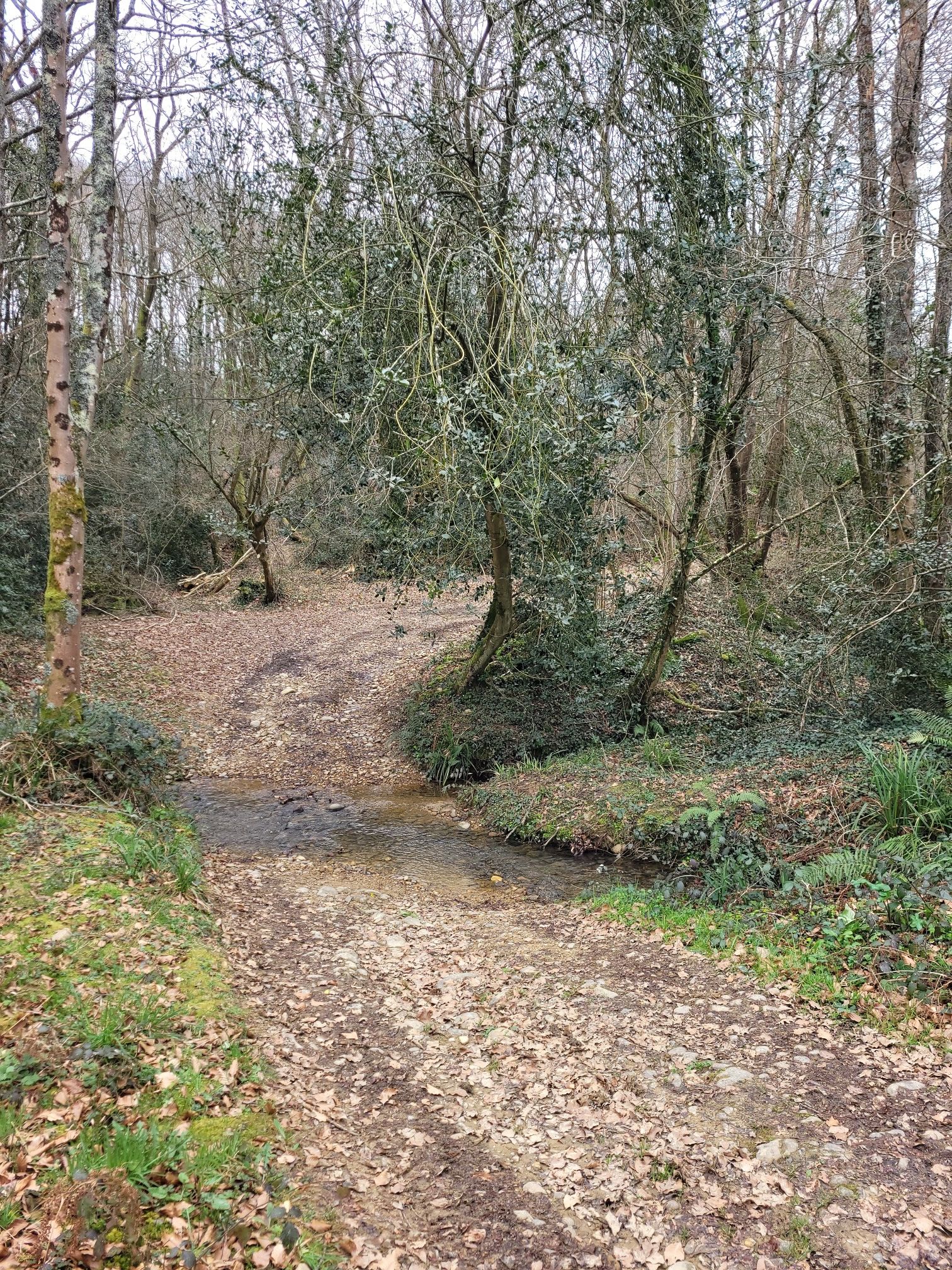 Ruisseau Le Lau, mais ce n'est pas celui qui passe à Pau...