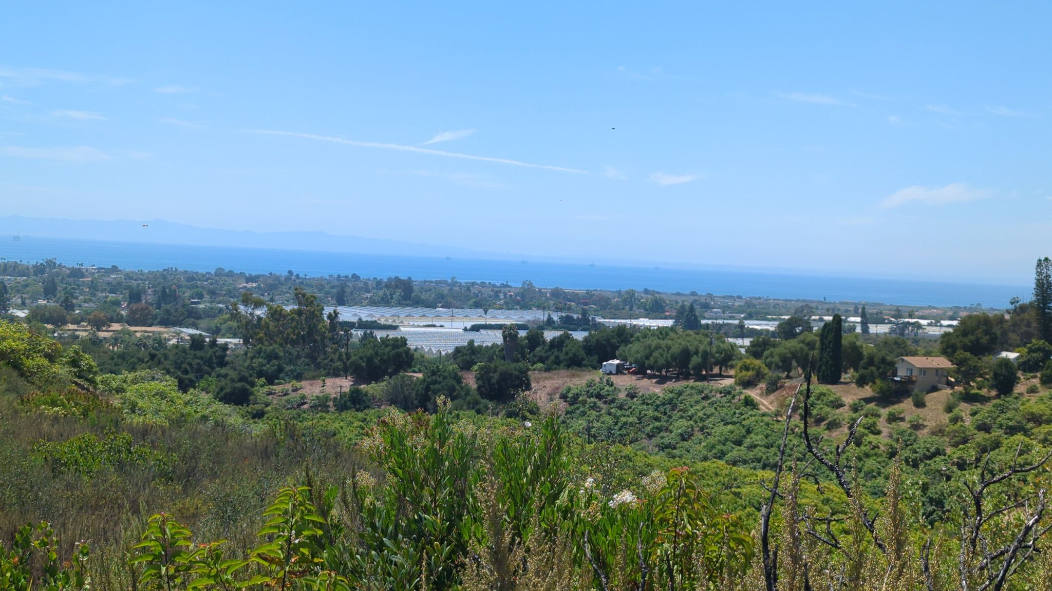 Bright view of a coastal town and ocean from a green hillside. - Franklin Trail to Frank's Bench