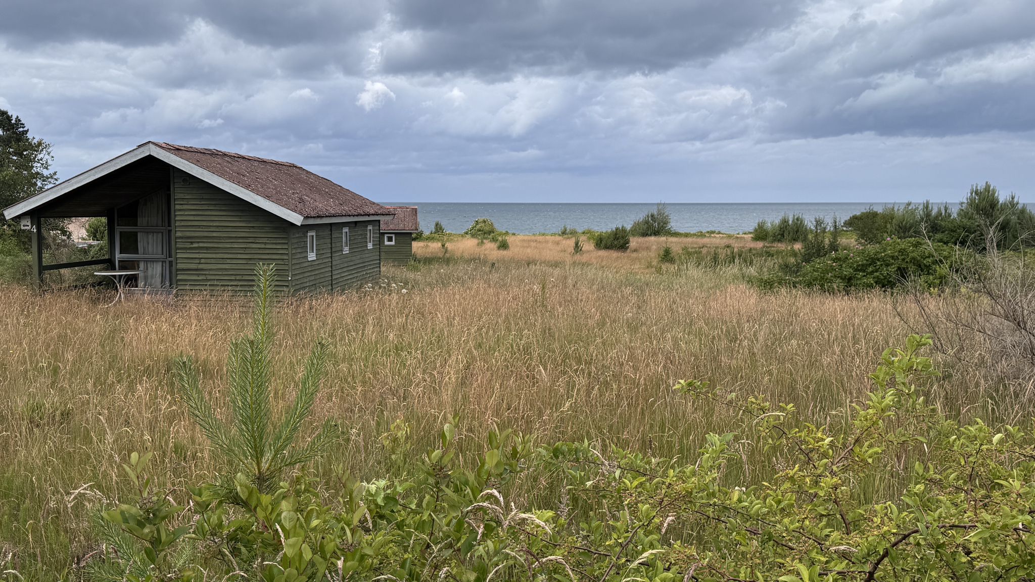 An der Ostsee bei Fjellerup Strand