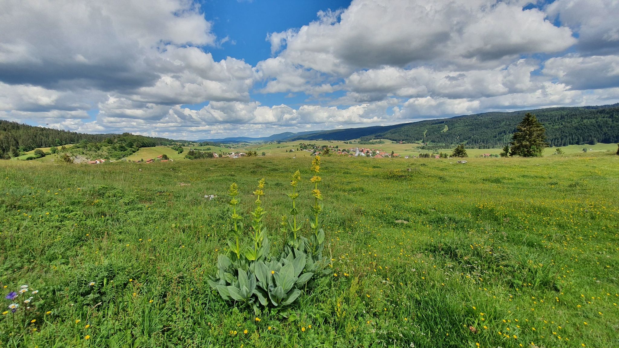 Vallée de Mouthe 