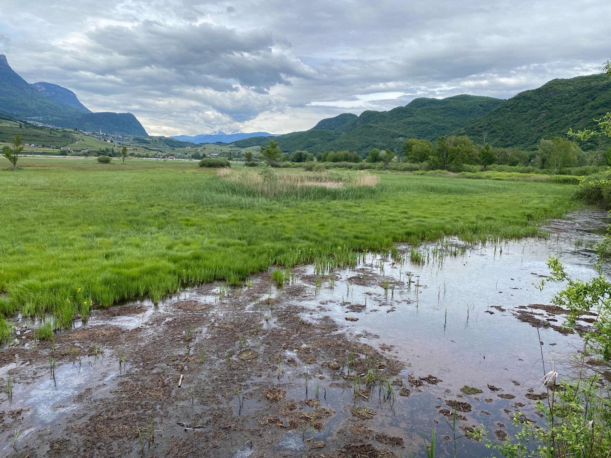 Blick auf die Feuchtiesen