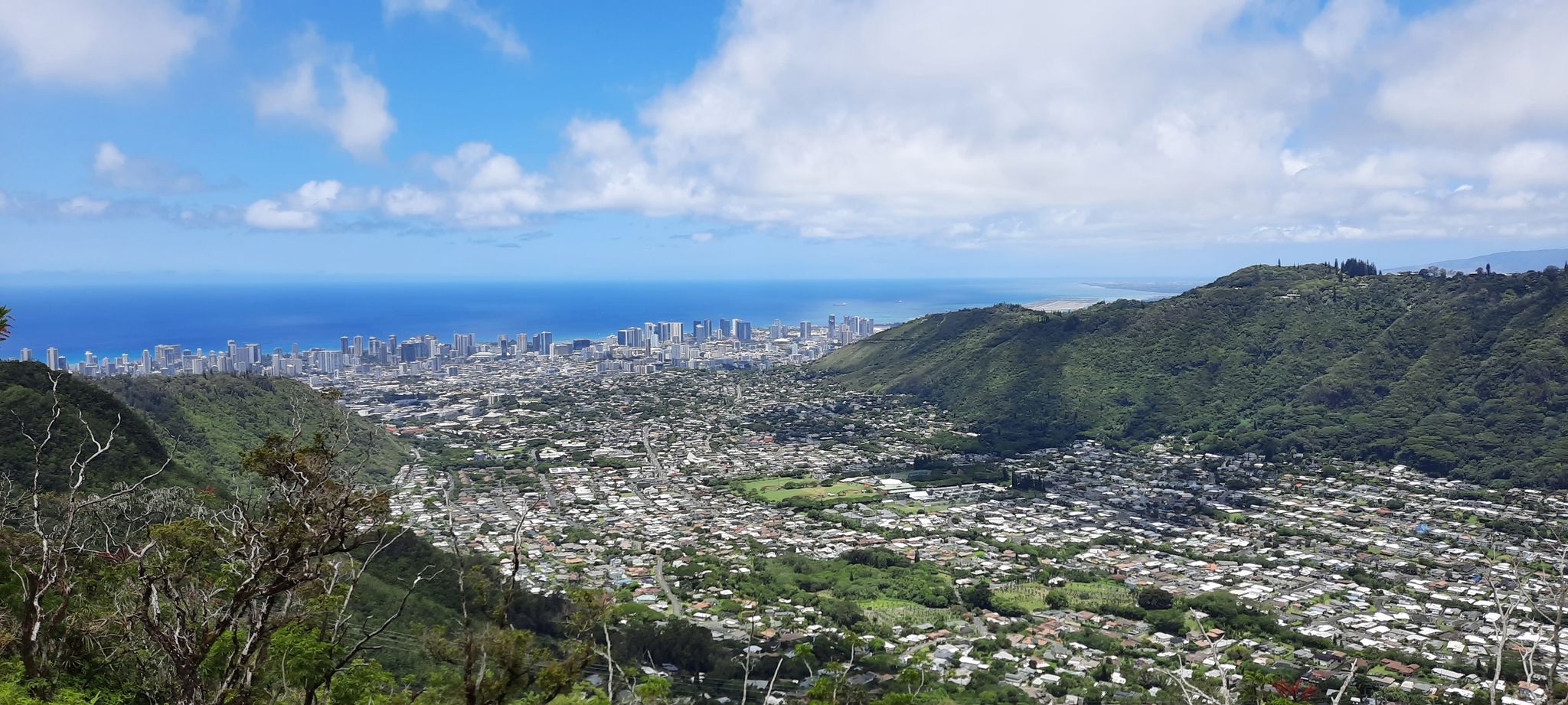 Expansive view of a city and ocean framed by lush green mountains under blue sky. - Wa'ahila Ridge and Kolowalu Trail Loop