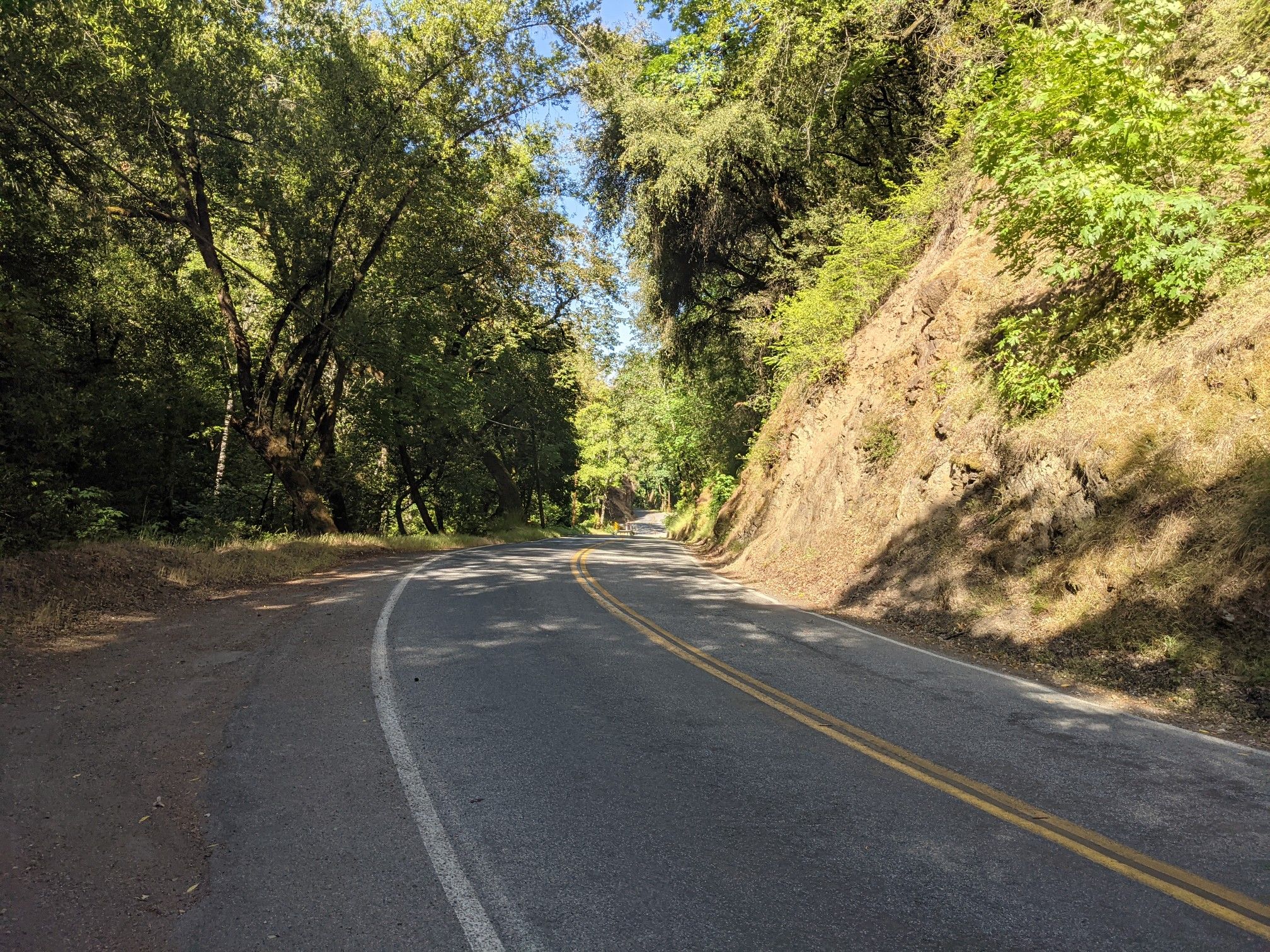 Paved road curves right, bordered by green trees and a sunlit dirt bank. - Mount Eden Trail and Canyon Trail