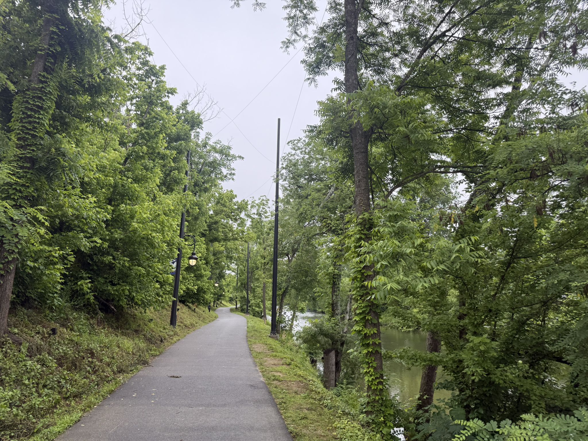 Paved path winding through lush green trees beside a river on an overcast day. - Pigeon Forge Riverwalk