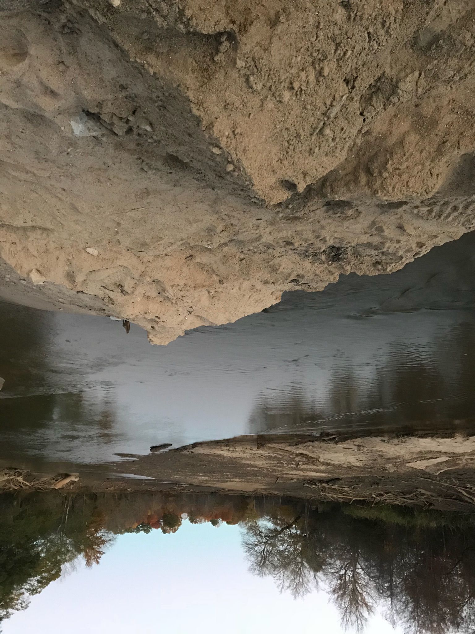 A calm river flows between steep sandy banks and distant trees. - Neuse River and Crabtree Creek Trail Loop
