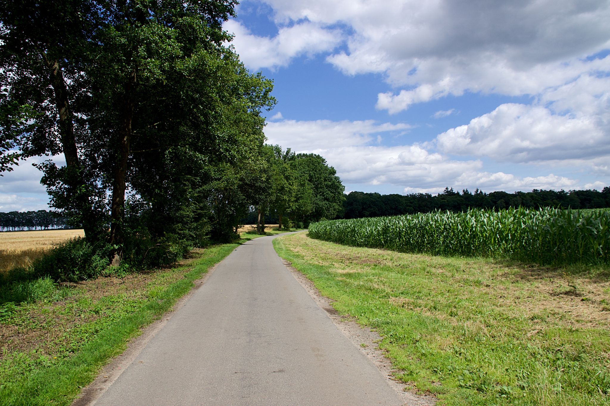 Hier war einer mit einem großen Rasenmäher unterwegs