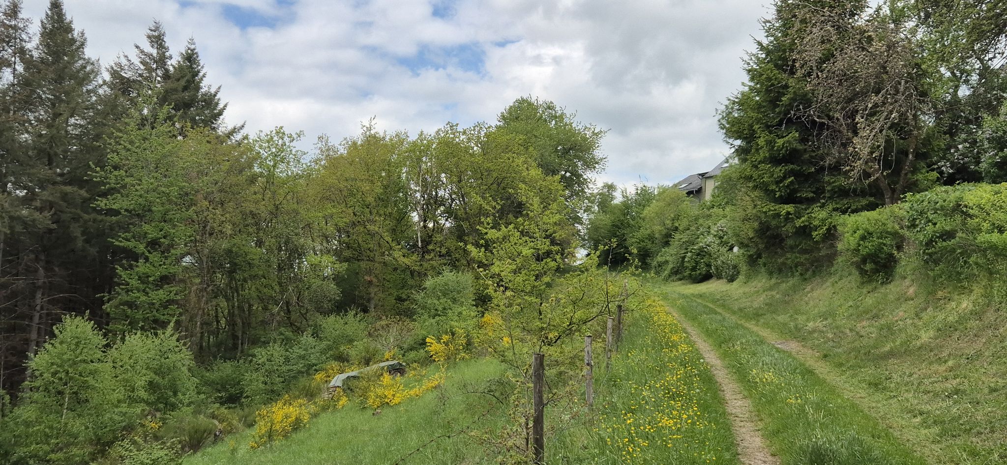Wiederaufstieg nach Geisfeld