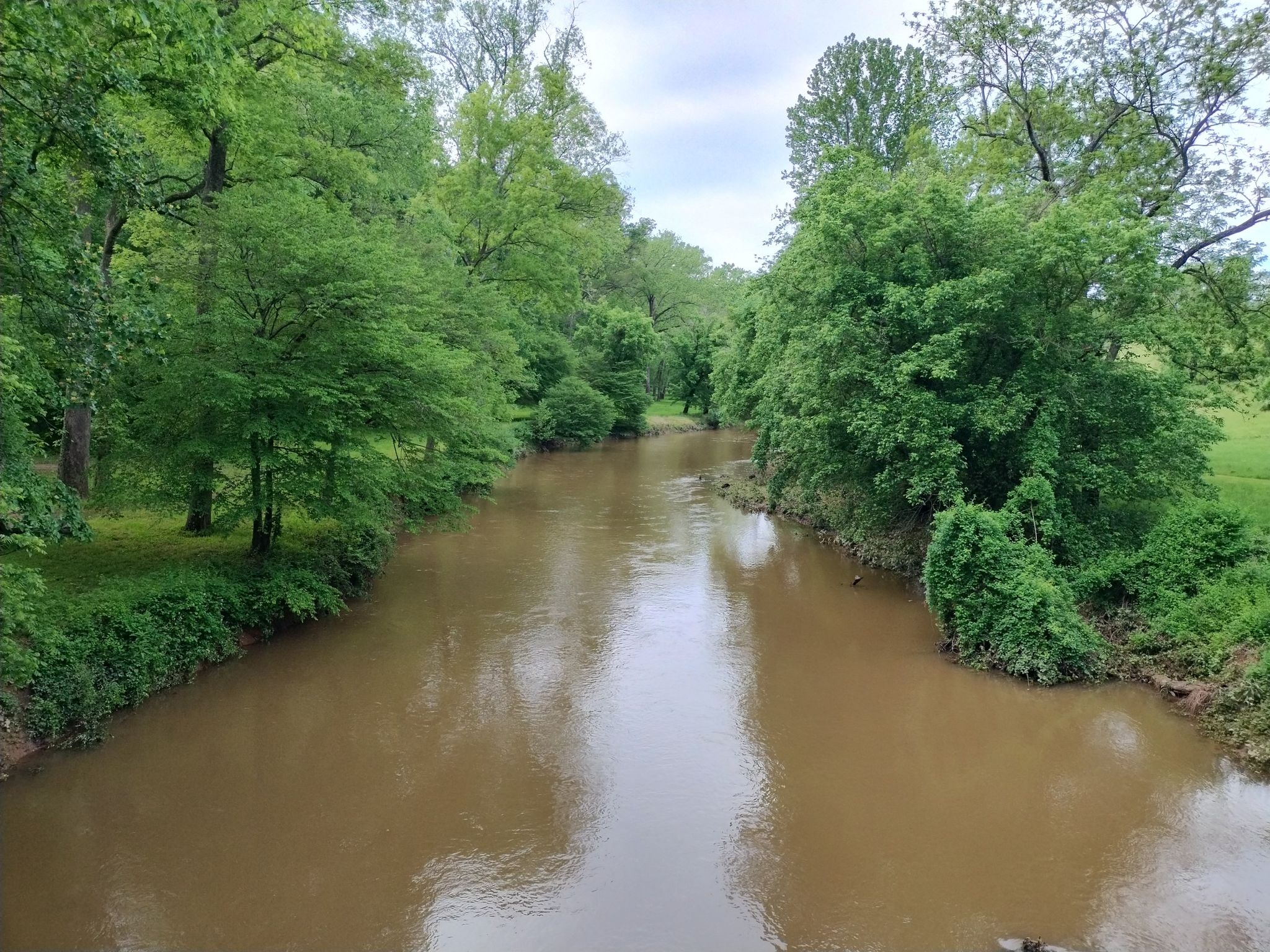 A muddy river flows through a lush green forest under an overcast sky. - Turner Pond – Middleburg, Virginia loop from Middleburg