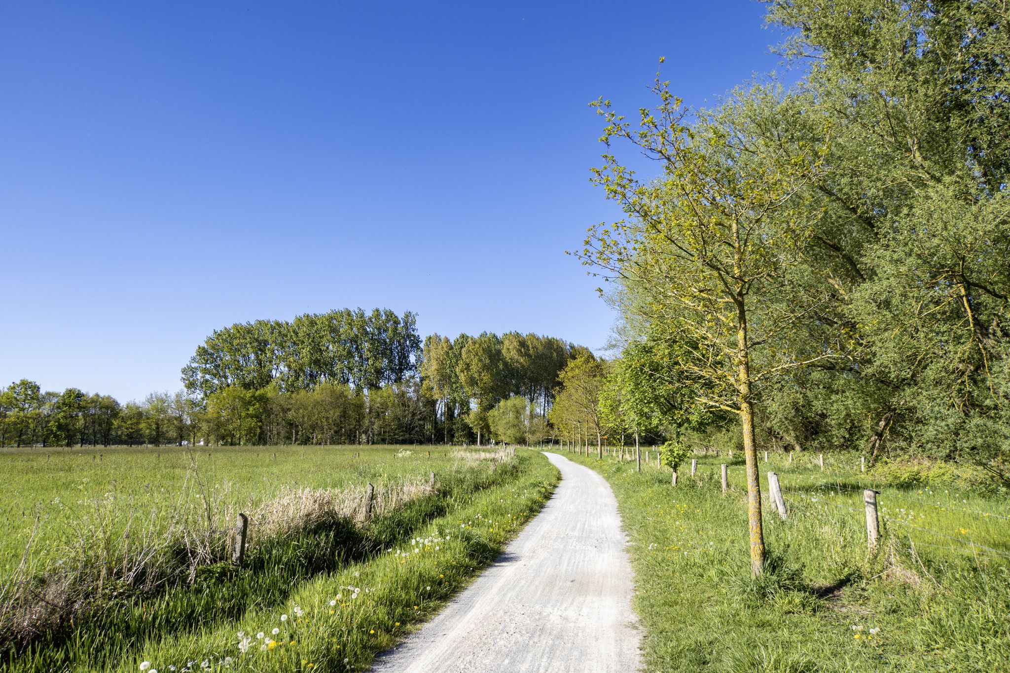Door de Merelbeekse Scheldemeersen