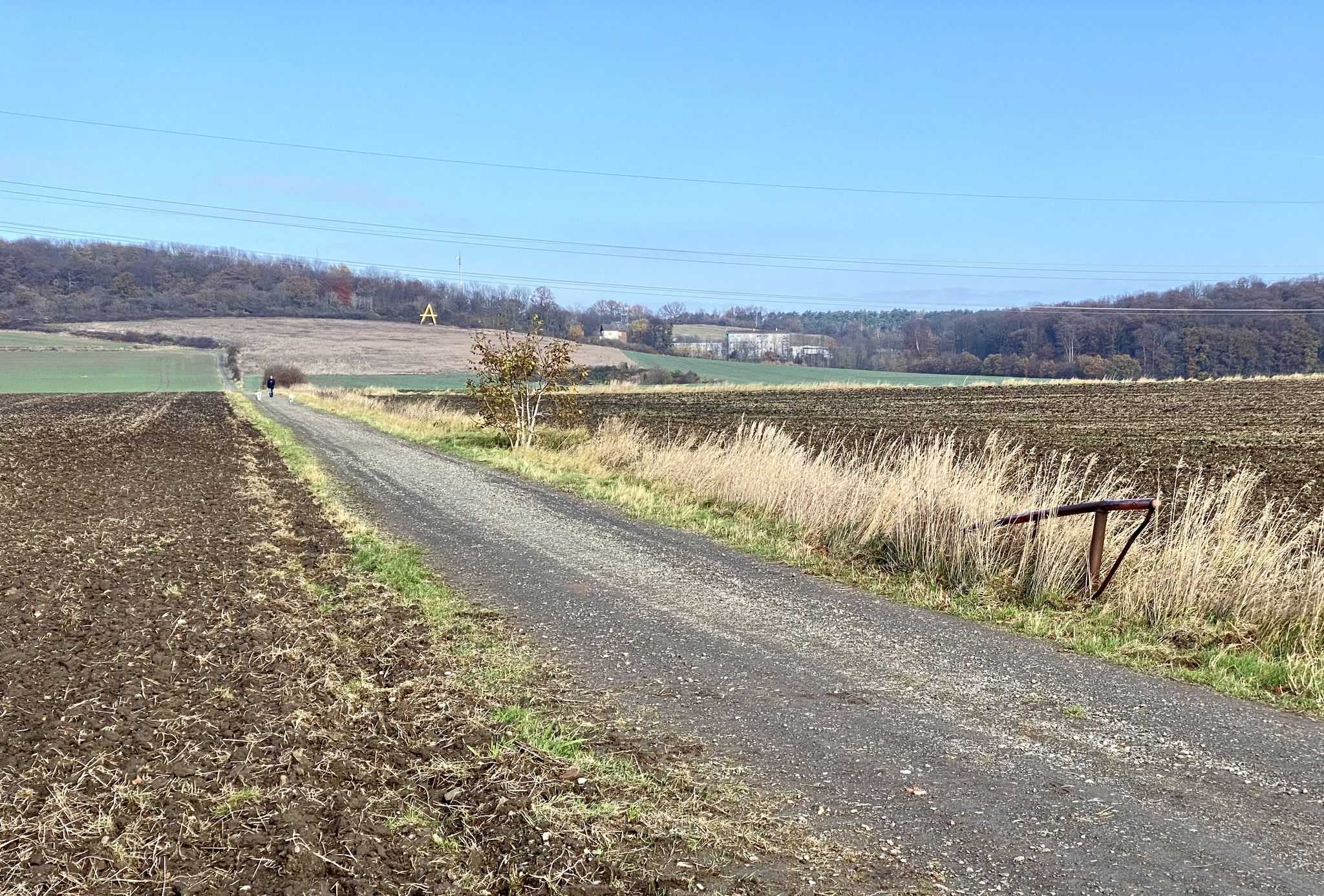 Blick von Remlingen auf die Asse