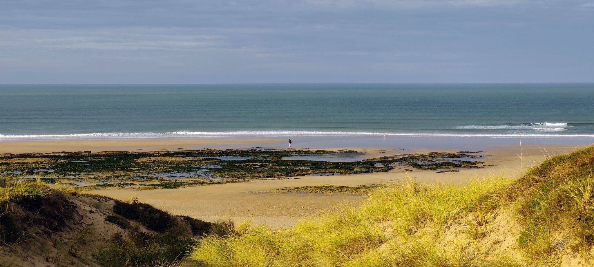 Plage de la tête de chien