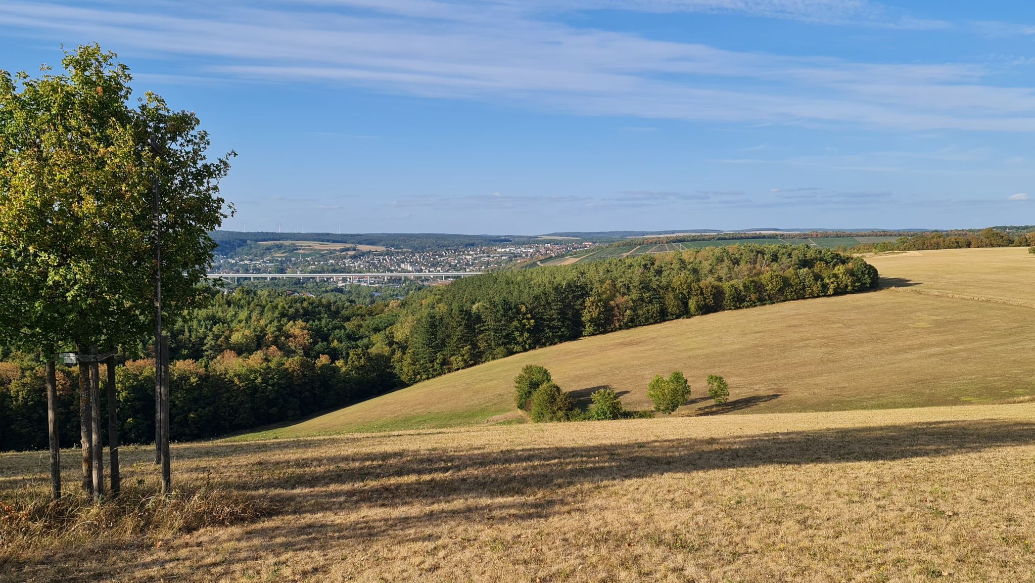 Tal Richtung Veitshöchheim 