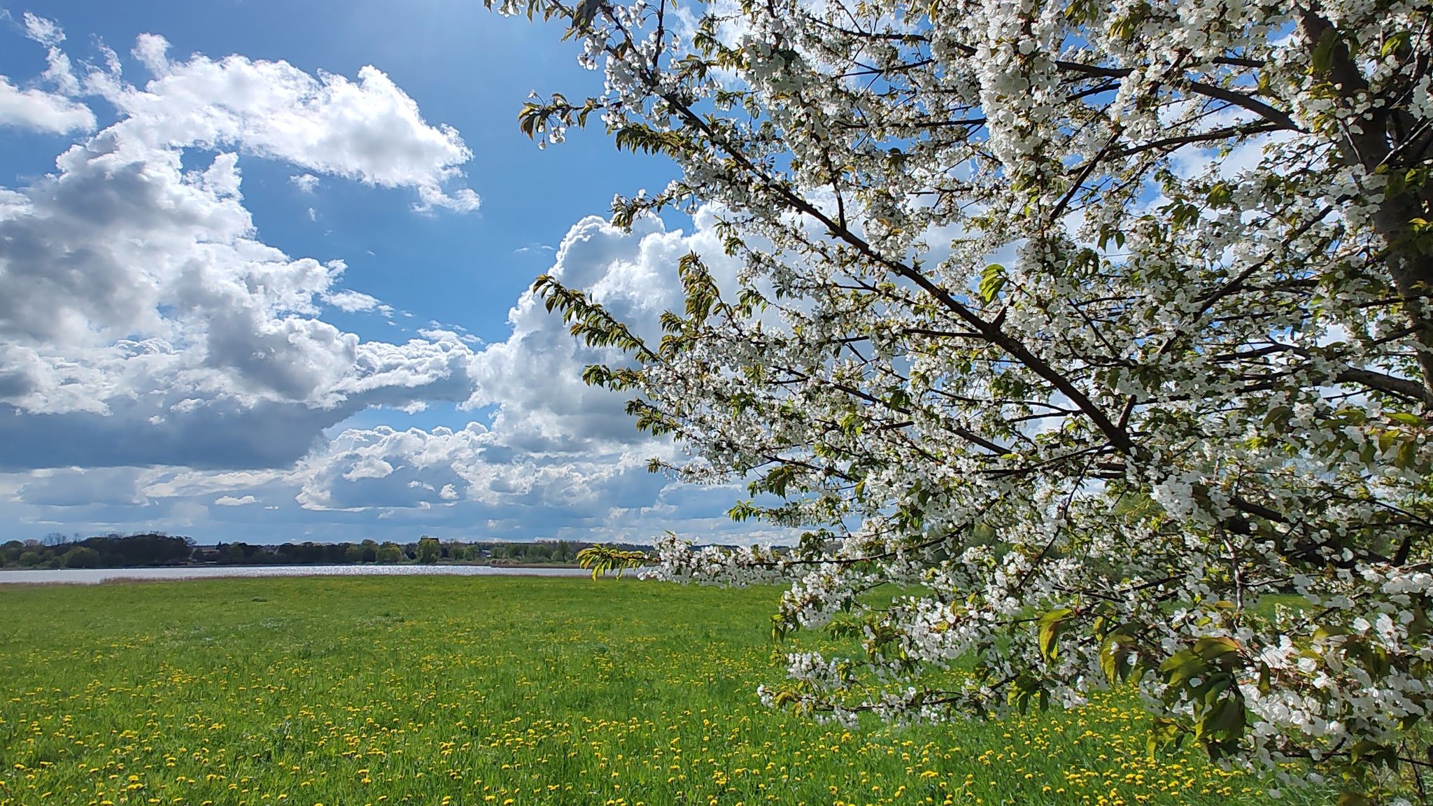 Blick über den Richtenberger See nach Franzburg....