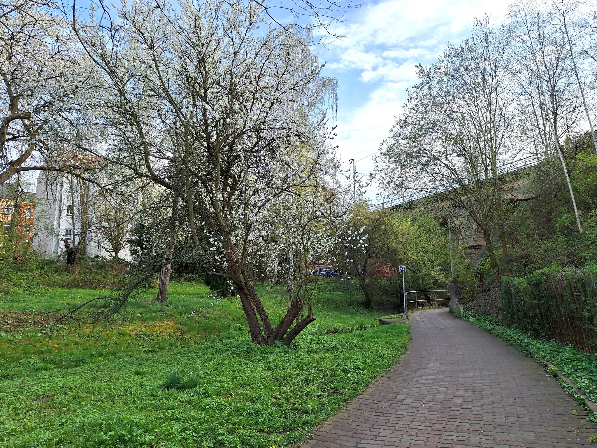 Marienthaler Bachweg Höhe Viadukt