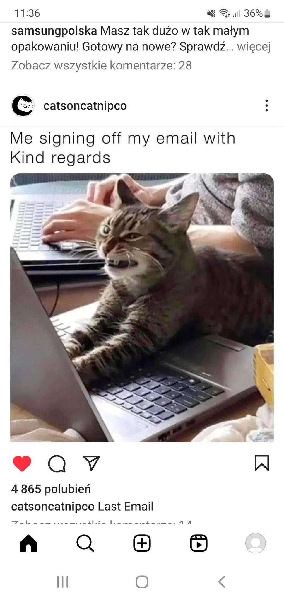 user avatar