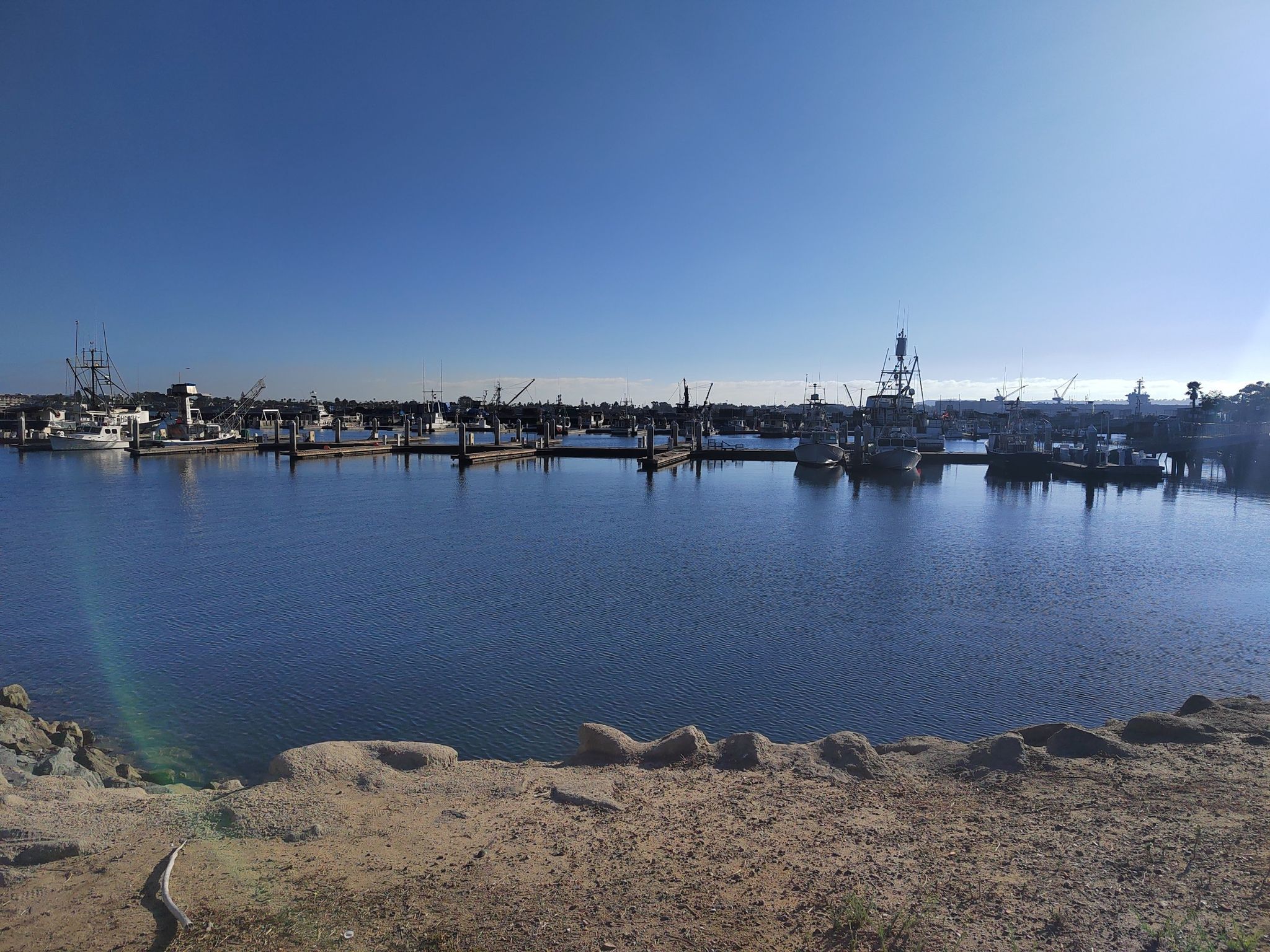 Boats docked in a calm marina under a bright clear blue sky. - Bayshore Bikeway